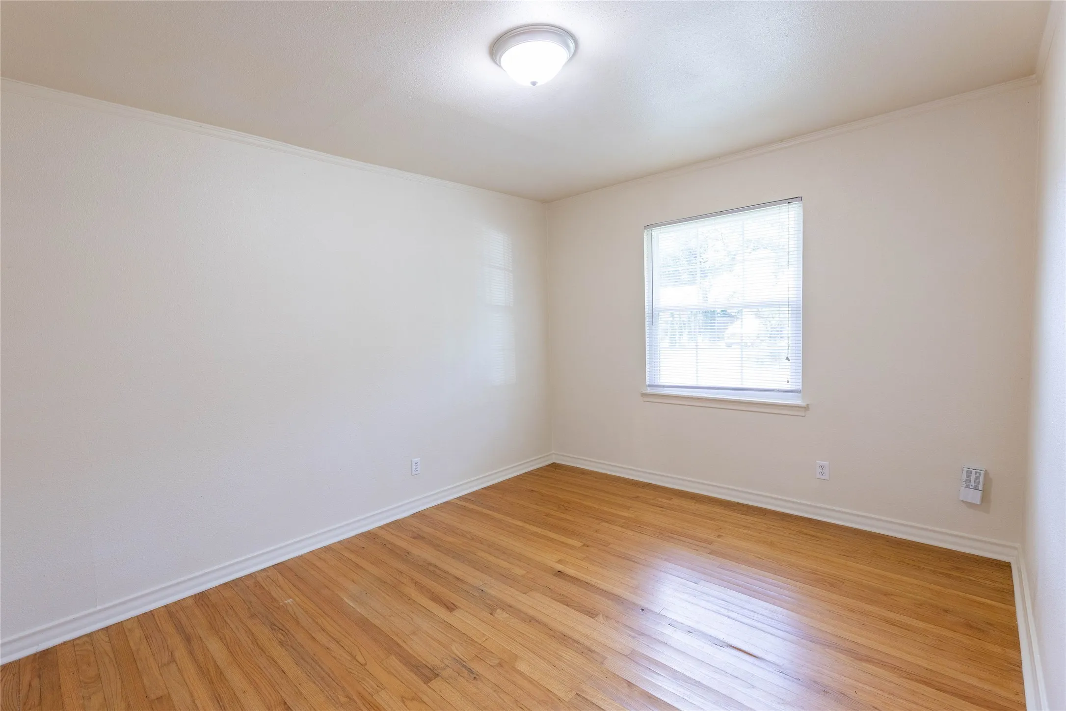 Single Family Residence For Rent in Dallas County , 2627 Tealford Drive, Dallas, Texas 75228, 3 Bedroom, 1 Bathroom, 1 Garage spaces, 1,307 Sqft, built in 1953, mls#21333759, Real Estate Agent in Dallas, Homes For Rent in Dallas county, Homes For Rent in Dallas, Realtor in Dallas Texas, Real Estate Brokerage Independent Realty Texas, Luminita Cordes Realtor