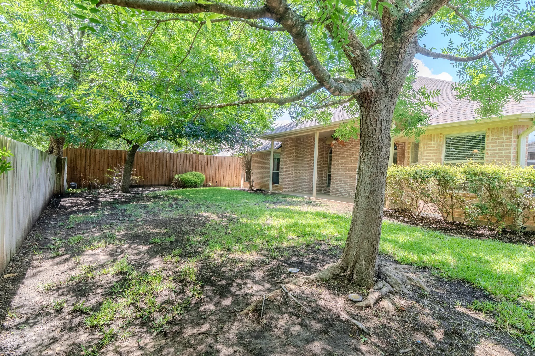 Expansive backyard featuring mature trees, a manicured lawn, and privacy fencing