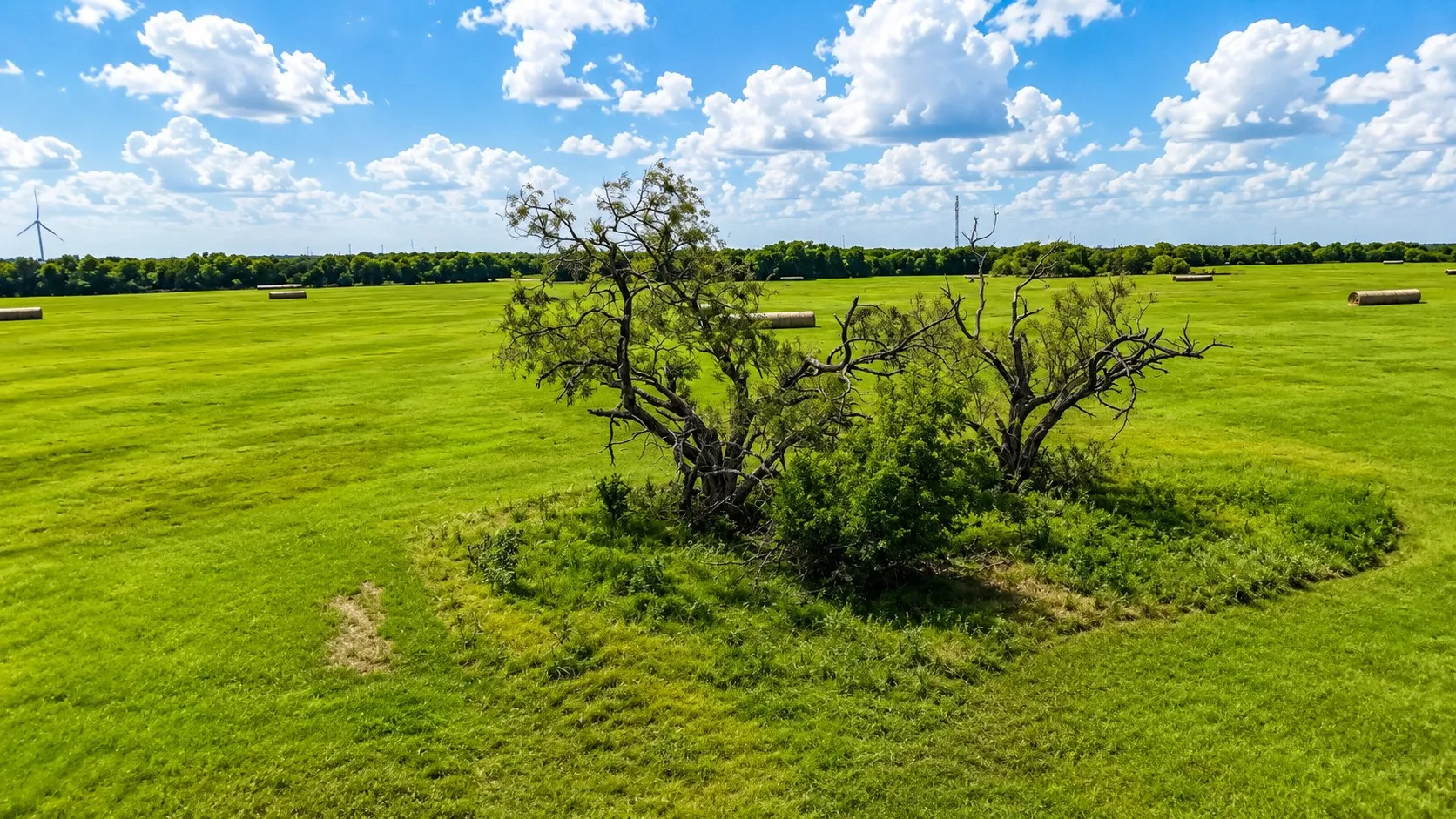 Unimproved Land For Sale in Hill County , TBD HC 3363/3352, Hubbard, Texas 76648, 0, 0, Garage spaces, 0 Sqft, built in 0, mls#21333750, Real Estate Agent in Hubbard, Homes For Sale in Hill county, Homes For Sale in Hubbard, Realtor in Hubbard Texas, Real Estate Brokerage Independent Realty Texas, Luminita Cordes Realtor