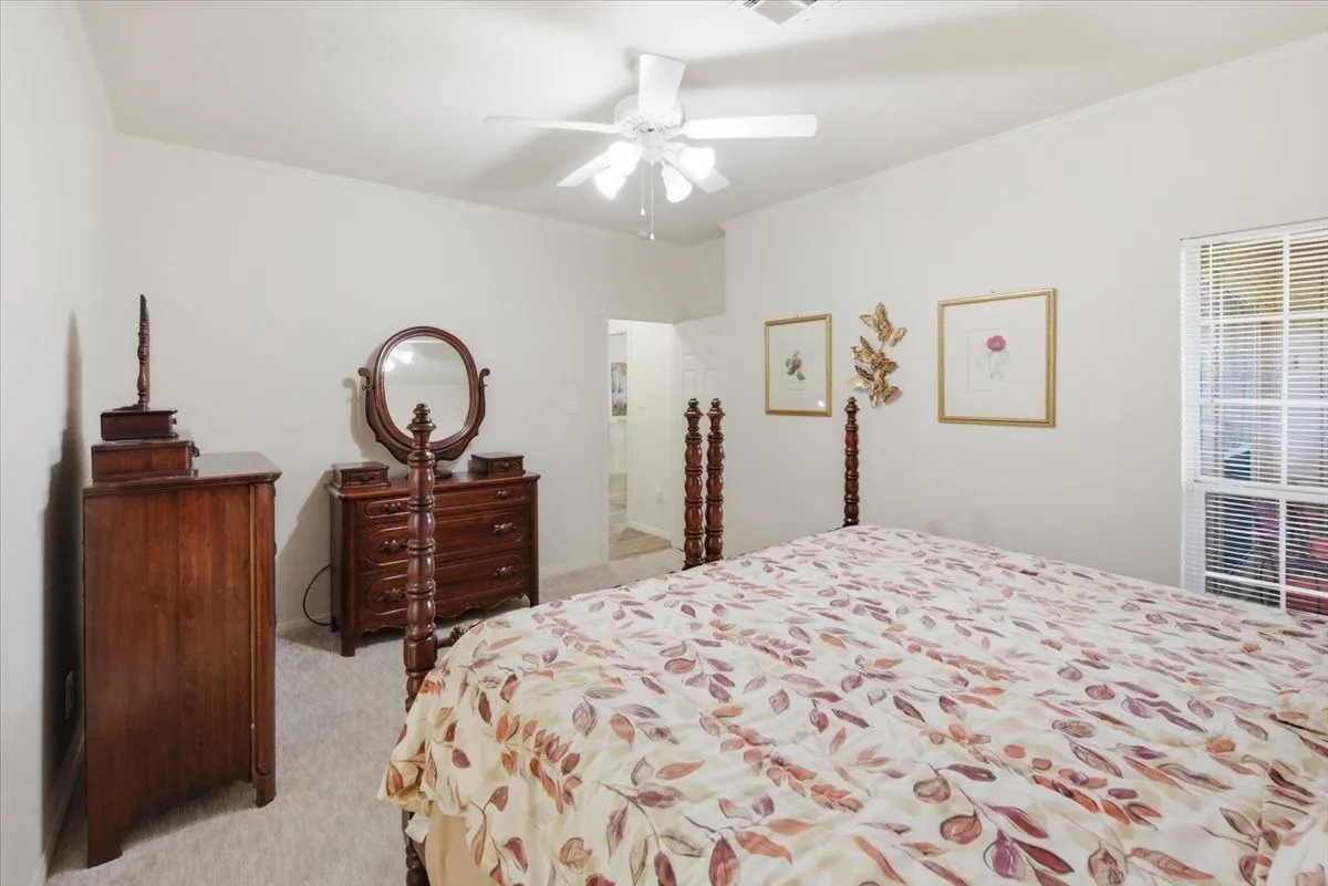 Carpeted primary bedroom featuring crown molding and a ceiling fan