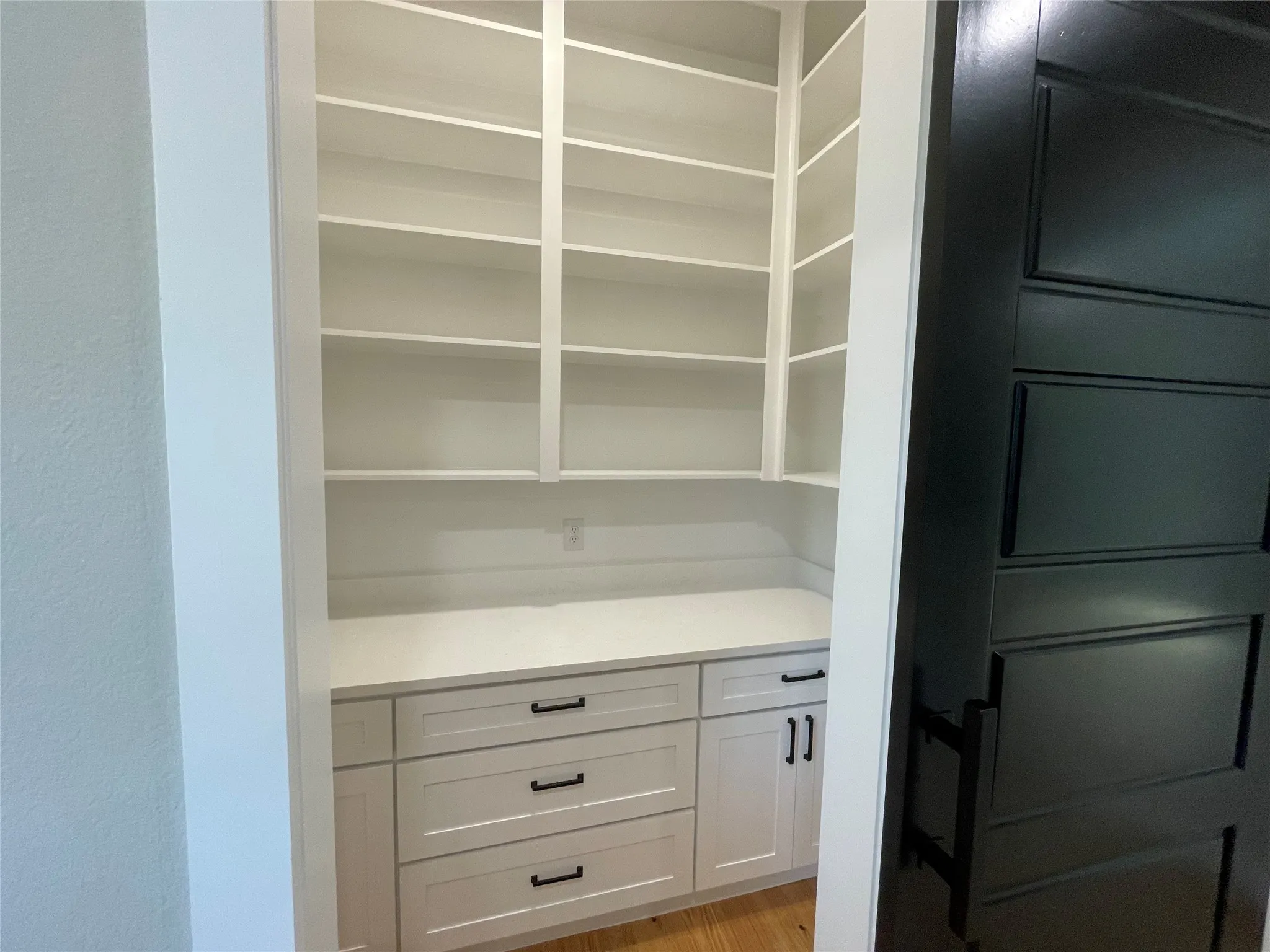 Spacious pantry