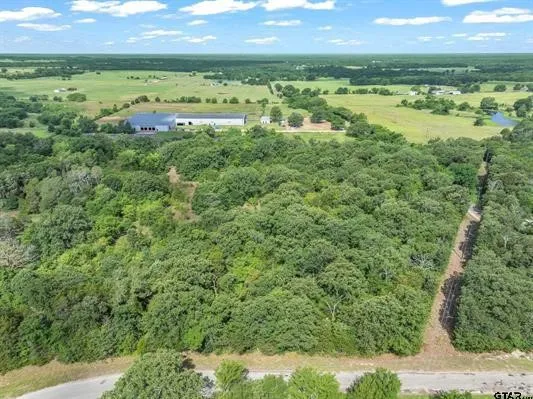 Unimproved Land For Sale in Van Zandt County , Lot 1 VZ CR 1818, Fruitvale, Texas 75127, 0, 0, Garage spaces, 0 Sqft, built in 0, Price $135,100, mls#21333851, Real Estate Agent in Fruitvale, Homes For Sale in Van Zandt county, Homes For Sale in Fruitvale, Realtor in Fruitvale Texas, Real Estate Brokerage Independent Realty Texas, Luminita Cordes Realtor