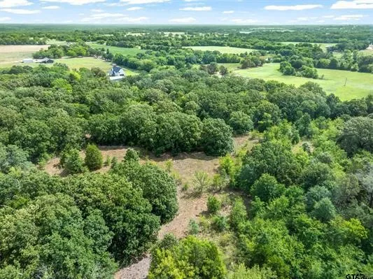 Unimproved Land For Sale in Van Zandt County , Lot 1 VZ CR 1818, Fruitvale, Texas 75127, 0, 0, Garage spaces, 0 Sqft, built in 0, Price $135,100, mls#21333851, Real Estate Agent in Fruitvale, Homes For Sale in Van Zandt county, Homes For Sale in Fruitvale, Realtor in Fruitvale Texas, Real Estate Brokerage Independent Realty Texas, Luminita Cordes Realtor