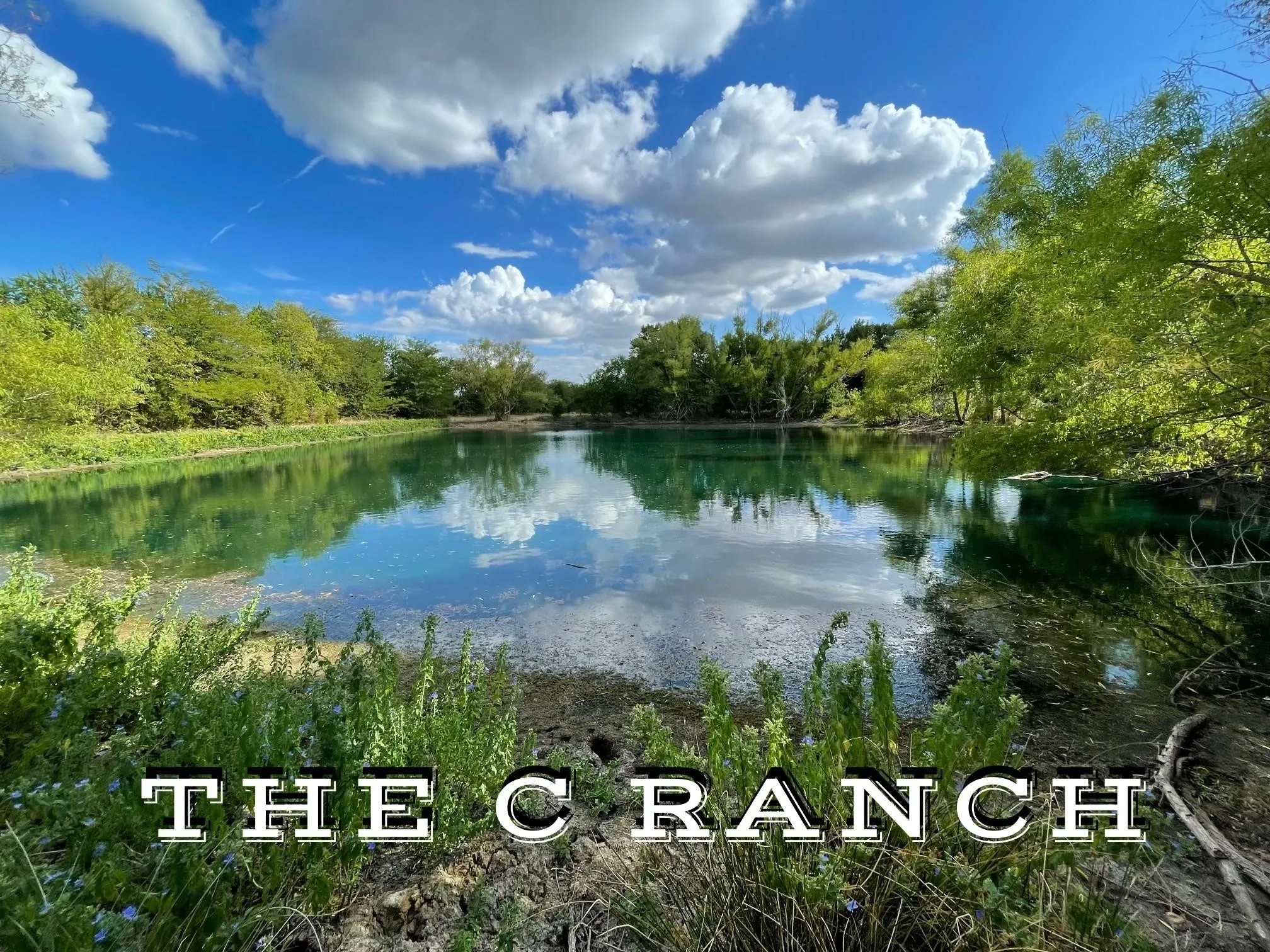 Ranch For Sale in Hopkins County , 279 W Fm-71, Sulphur Springs, Texas 75482, 0, 0, Garage spaces, 0 Sqft, built in 0, mls#21333857, Real Estate Agent in Sulphur Springs, Homes For Sale in Hopkins county, Homes For Sale in Sulphur Springs, Realtor in Sulphur Springs Texas, Real Estate Brokerage Independent Realty Texas, Luminita Cordes Realtor
