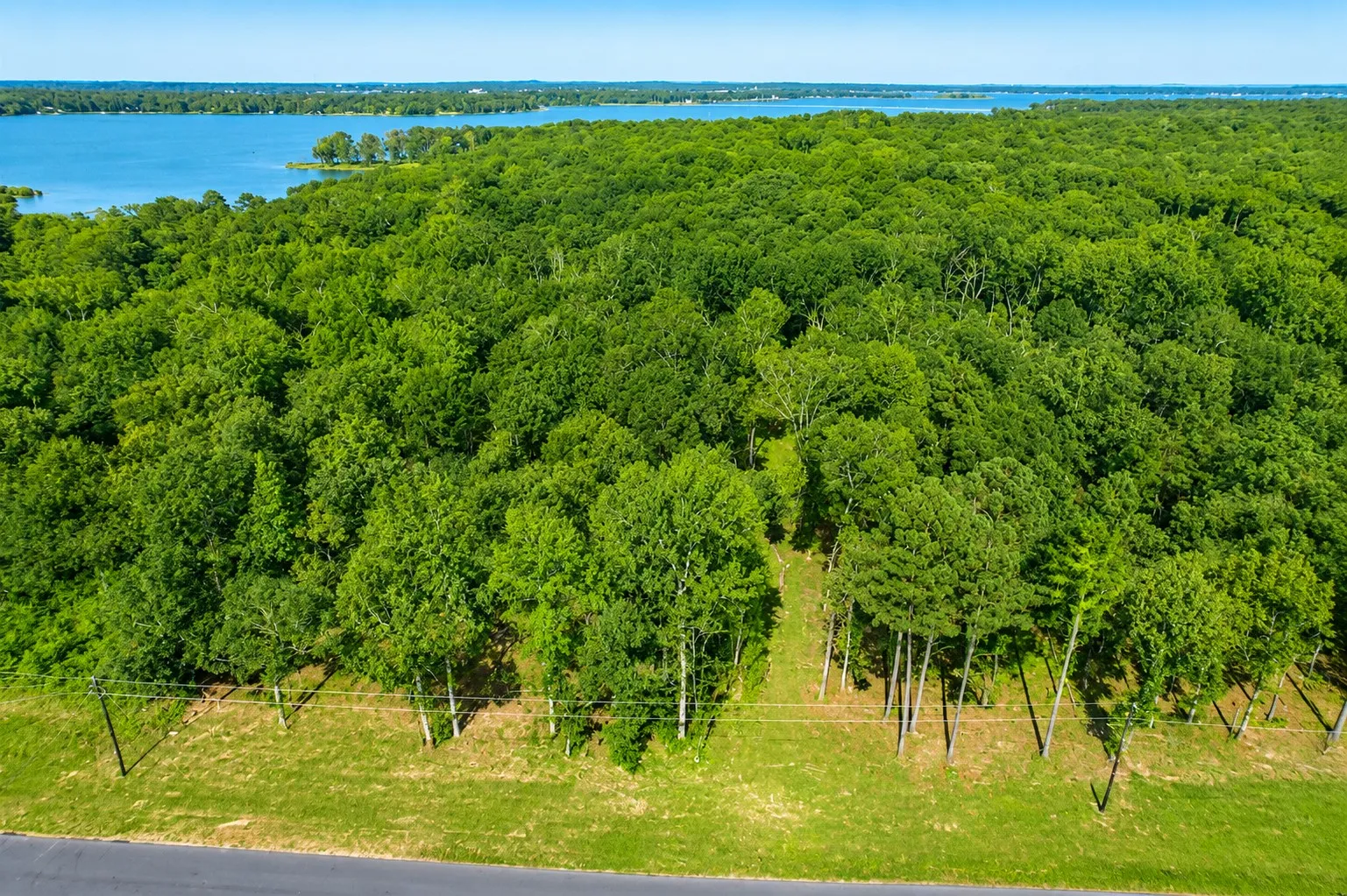 Expansive wooded lot featuring mature trees and a clear path, bordered by a paved road