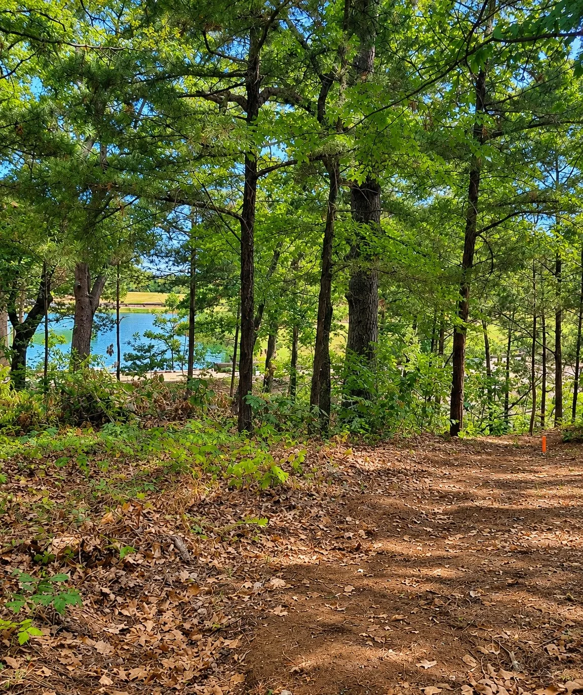 Single Family Residence For Sale in Grayson County , 280 Roaring Fork Circle, Gordonville, Texas 76245, 4 Bedrooms, 2 Bathrooms, 2 Garage spaces, 2,800 Sqft, built in 2026, Price $749,000, mls#21333935, Real Estate Agent in Gordonville, Homes For Sale in Grayson county, Homes For Sale in Gordonville, Realtor in Gordonville Texas, Real Estate Brokerage Independent Realty Texas, Luminita Cordes Realtor