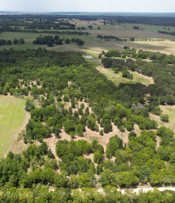 Unimproved Land For Sale in Navarro County , 0000 NE County Road 3270, Navarro, Texas 75109, 0, 0, Garage spaces, 0 Sqft, built in 0, Price $119,900, mls#21326231, Real Estate Agent in Navarro, Homes For Sale in Navarro county, Homes For Sale in Navarro, Realtor in Navarro Texas, Real Estate Brokerage Independent Realty Texas, Luminita Cordes Realtor