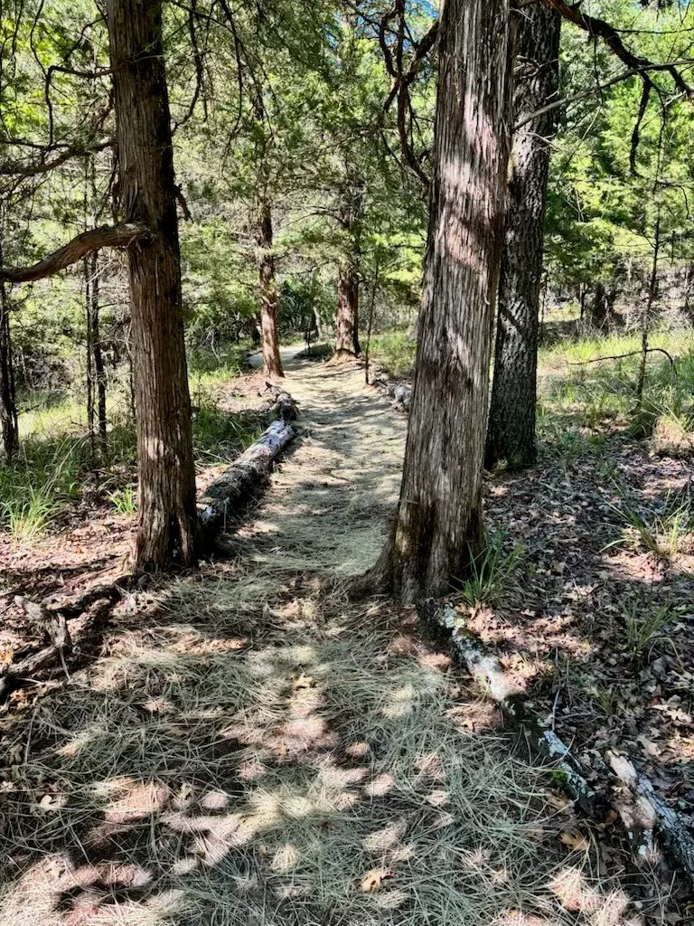Morning walks down the trail with a cup of joe.