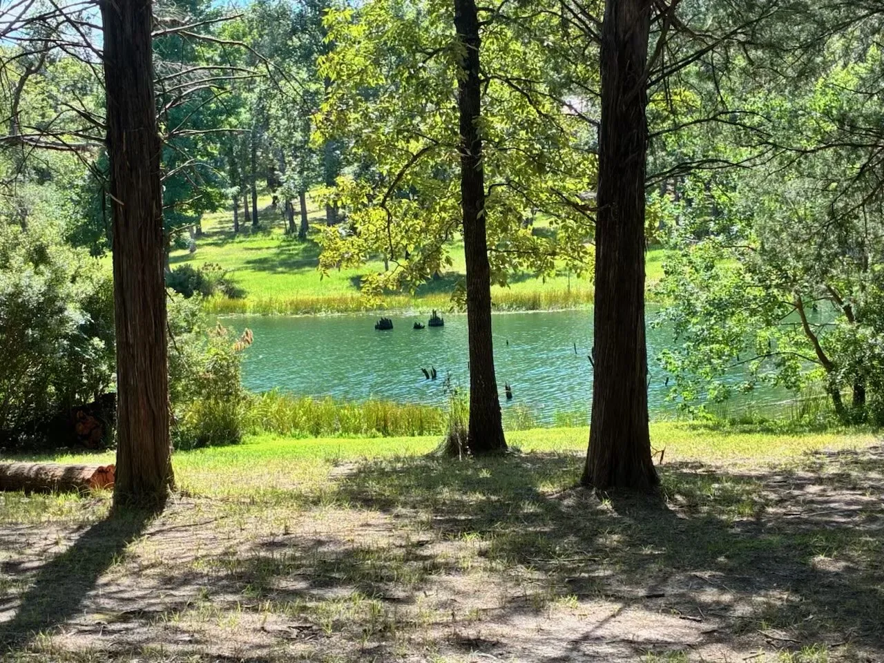Serene waterview
