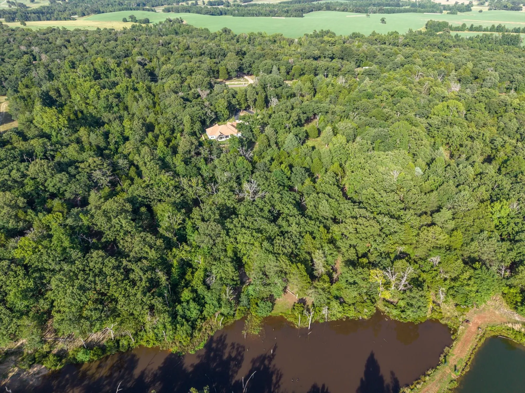 House nestled among the hardwood trees
