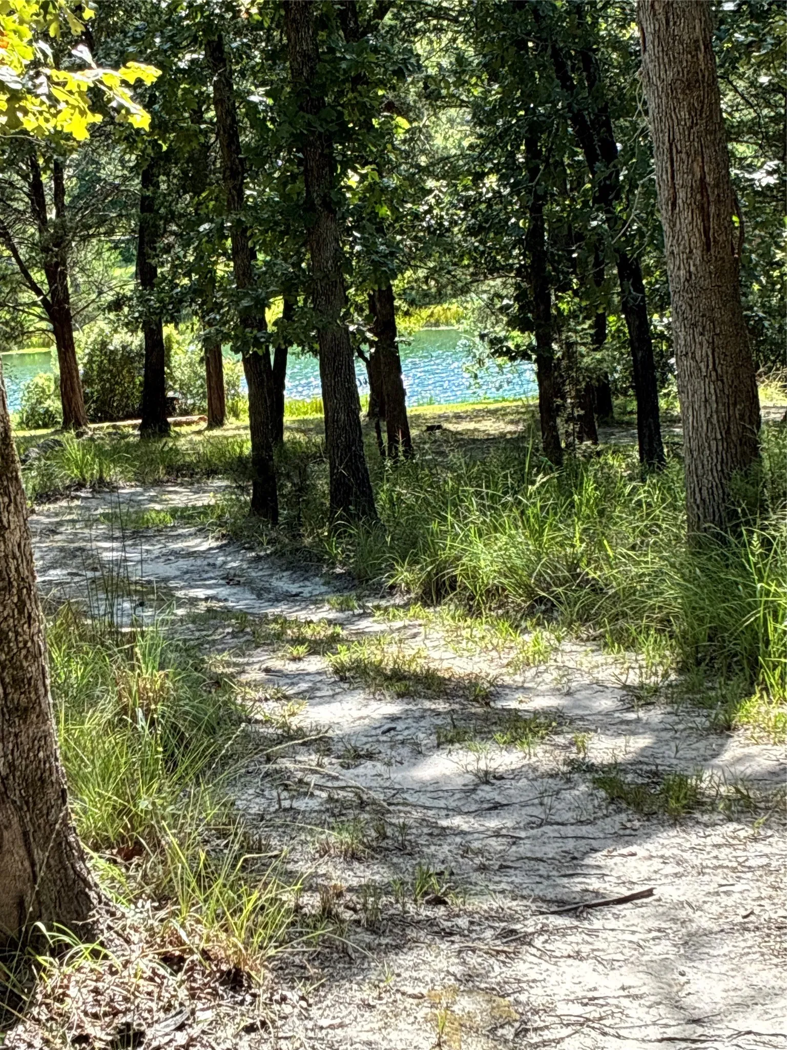 Walk the trail for a bit of fishing