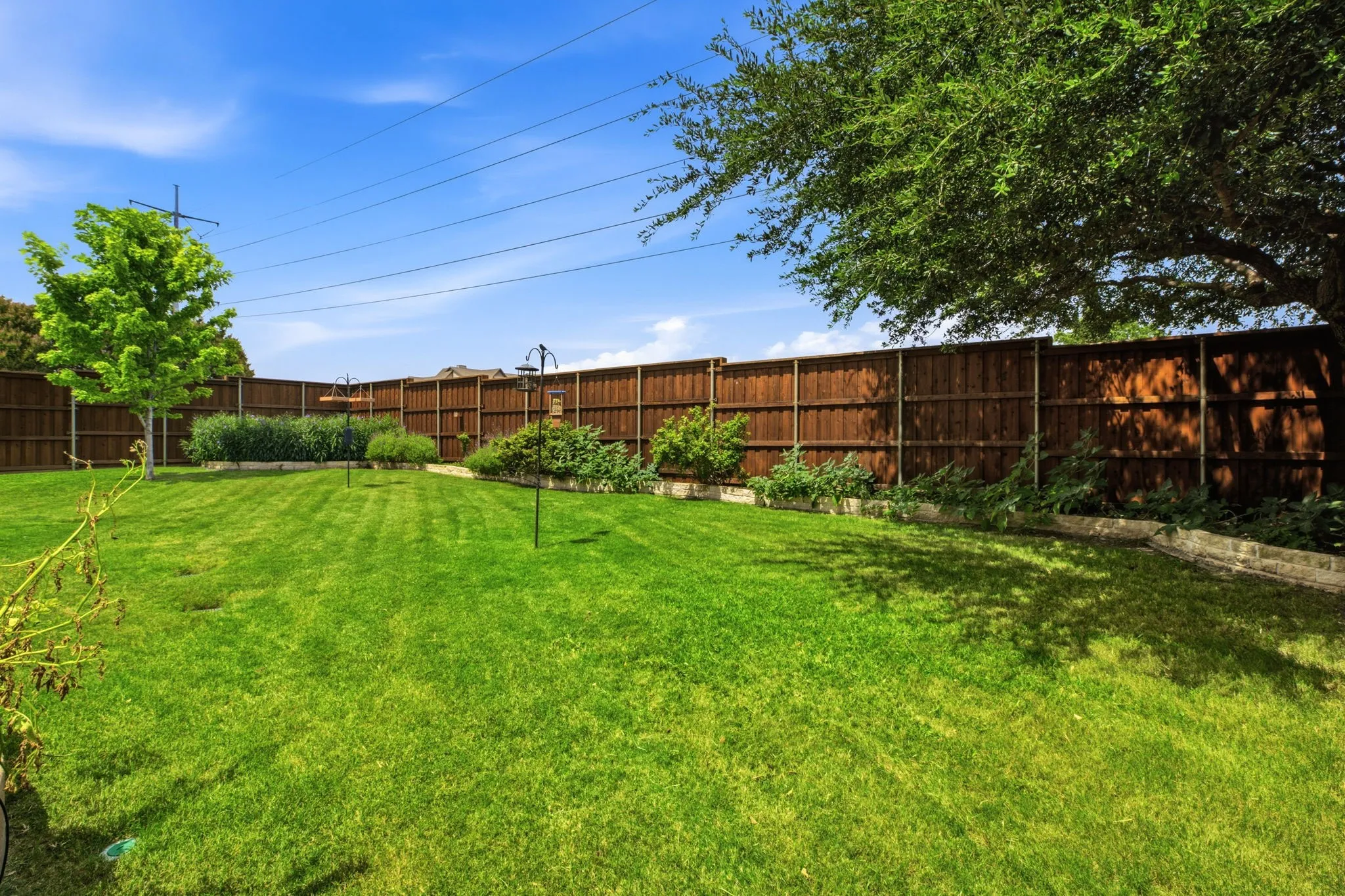 Oversized backyard
