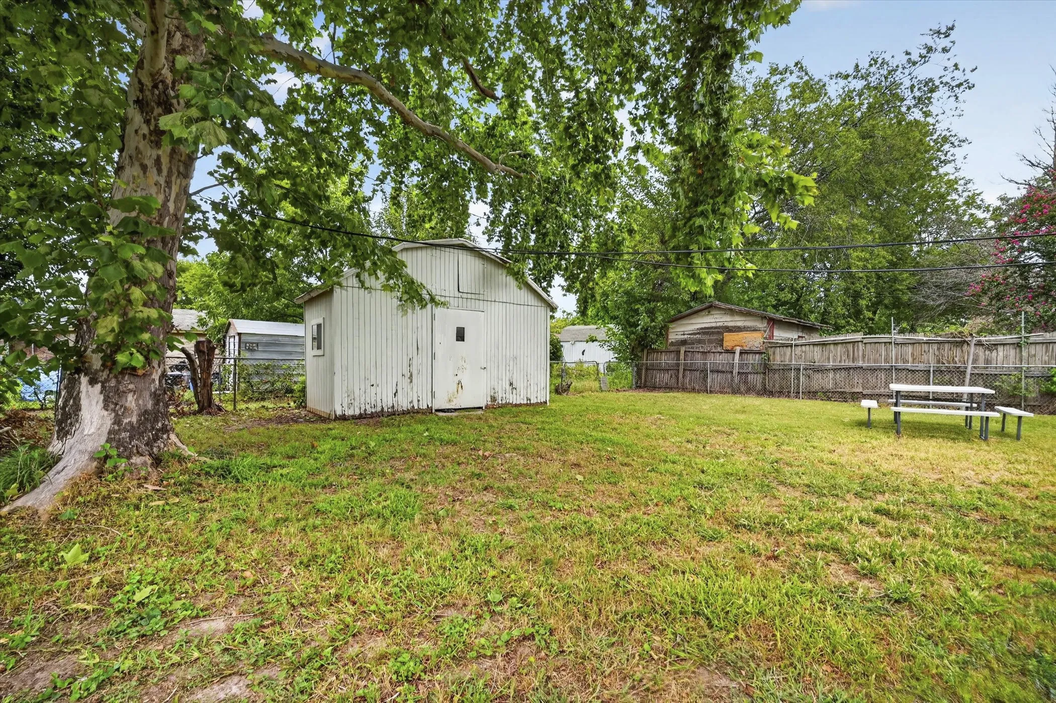 Expansive green lawn with mature trees and a detached shed