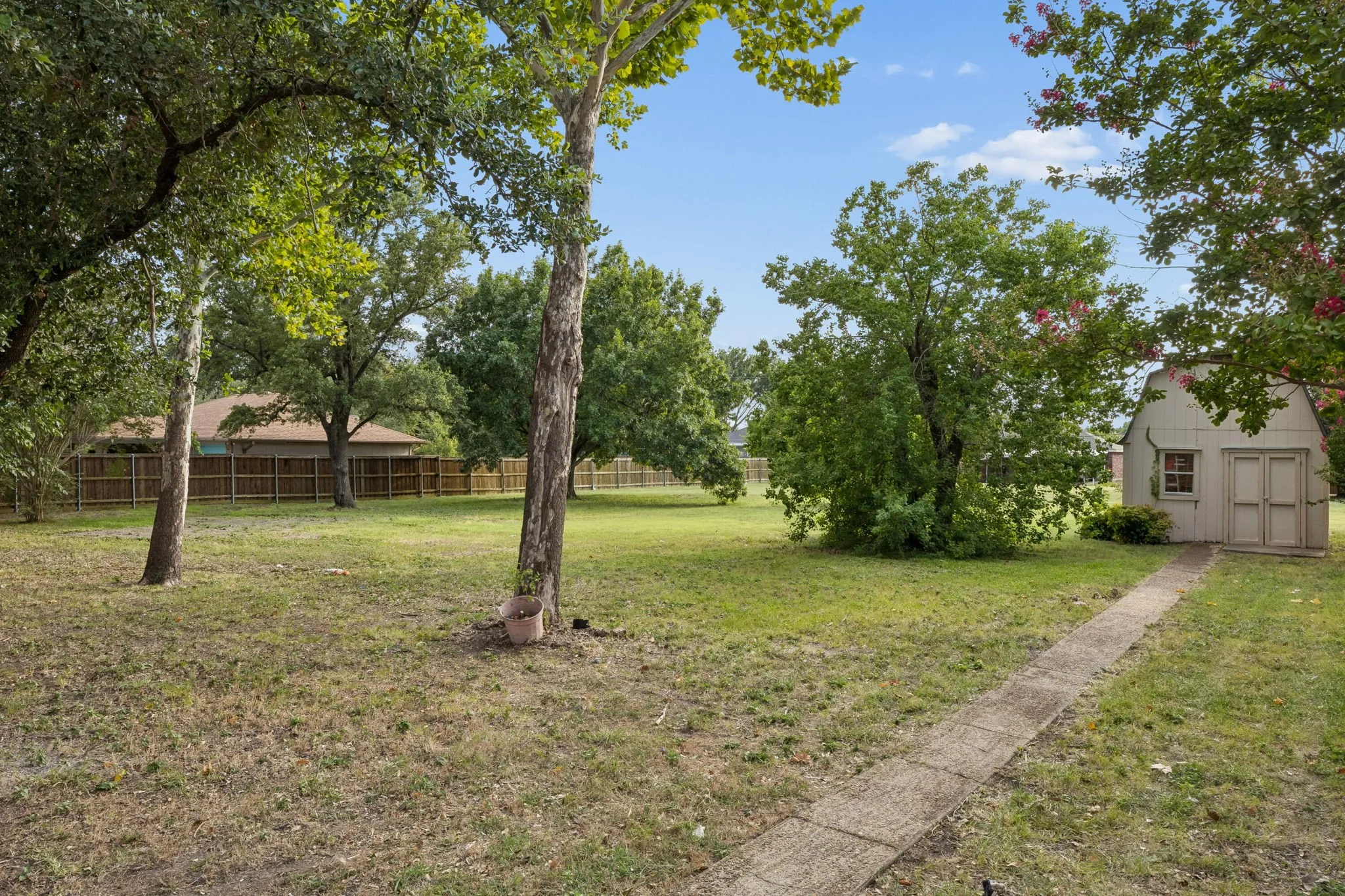 Large backyard