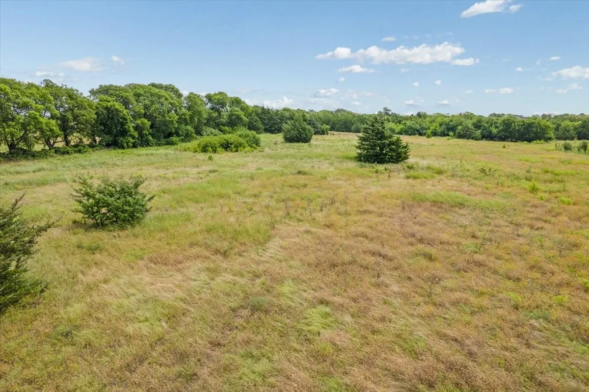 Unimproved Land For Sale in Fannin County , 10843 E Line Road, Trenton, Texas 75490, 0, 0, Garage spaces, 0 Sqft, built in 0, Price $180,000, mls#21332754, Real Estate Agent in Trenton, Homes For Sale in Fannin county, Homes For Sale in Trenton, Realtor in Trenton Texas, Real Estate Brokerage Independent Realty Texas, Luminita Cordes Realtor