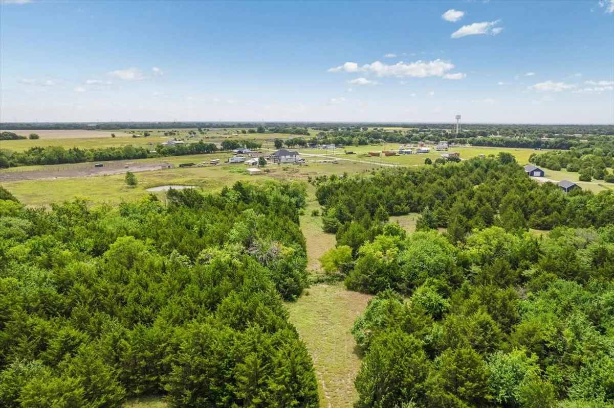 Unimproved Land For Sale in Fannin County , 10843 E Line Road, Trenton, Texas 75490, 0, 0, Garage spaces, 0 Sqft, built in 0, Price $180,000, mls#21332754, Real Estate Agent in Trenton, Homes For Sale in Fannin county, Homes For Sale in Trenton, Realtor in Trenton Texas, Real Estate Brokerage Independent Realty Texas, Luminita Cordes Realtor