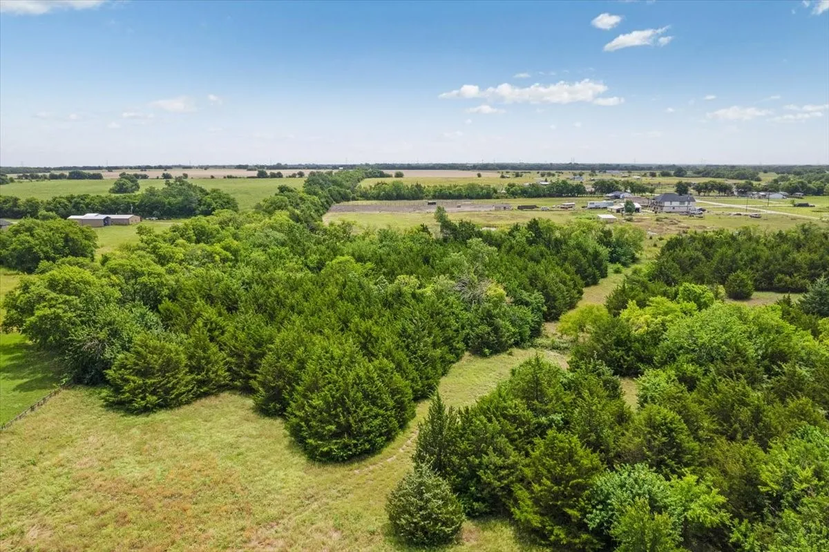 Unimproved Land For Sale in Fannin County , 10843 E Line Road, Trenton, Texas 75490, 0, 0, Garage spaces, 0 Sqft, built in 0, Price $180,000, mls#21332754, Real Estate Agent in Trenton, Homes For Sale in Fannin county, Homes For Sale in Trenton, Realtor in Trenton Texas, Real Estate Brokerage Independent Realty Texas, Luminita Cordes Realtor