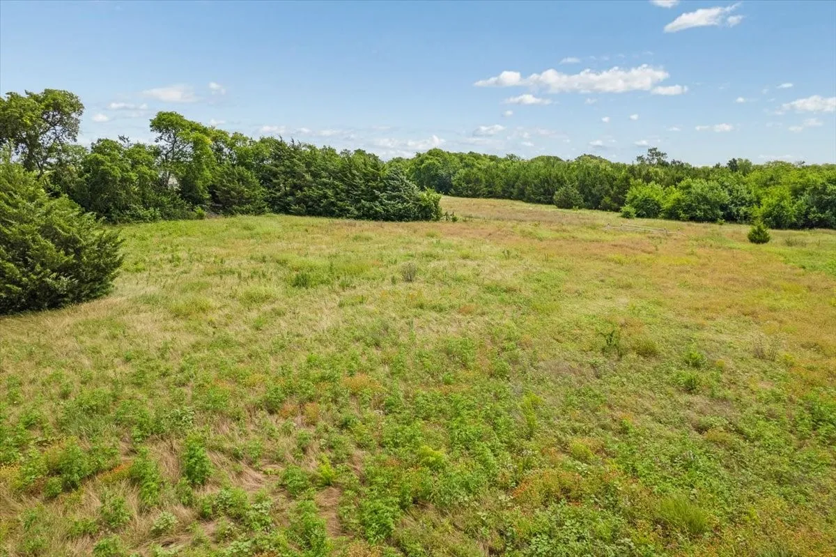 Unimproved Land For Sale in Fannin County , 10843 E Line Road, Trenton, Texas 75490, 0, 0, Garage spaces, 0 Sqft, built in 0, Price $180,000, mls#21332754, Real Estate Agent in Trenton, Homes For Sale in Fannin county, Homes For Sale in Trenton, Realtor in Trenton Texas, Real Estate Brokerage Independent Realty Texas, Luminita Cordes Realtor