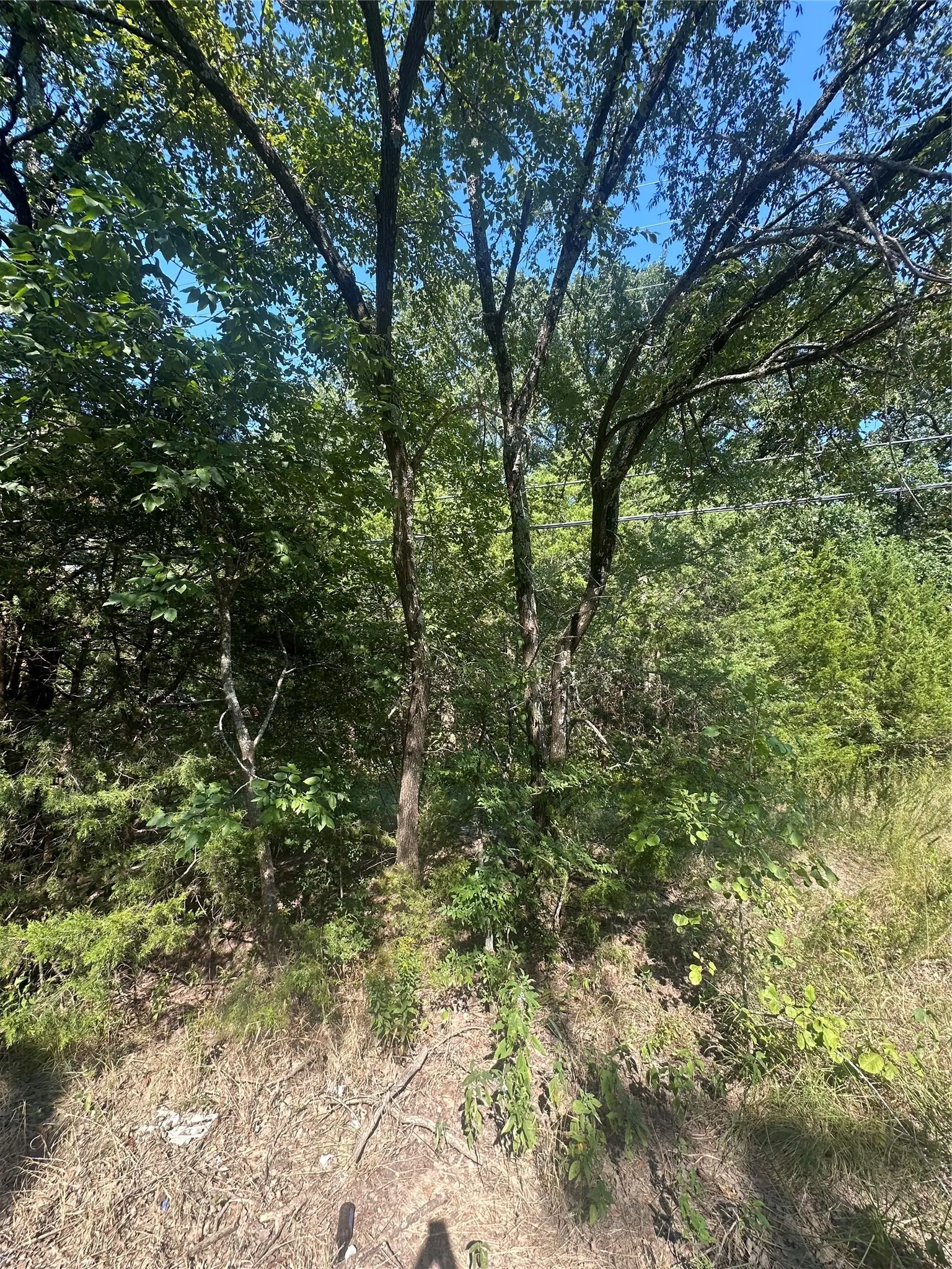 Unimproved Land For Sale in Hunt County , Lots 106-109 Private Rd 3837, Quinlan, Texas 75474, 0, 0, Garage spaces, 0 Sqft, built in 0, Price $179,999, mls#21334100, Real Estate Agent in Quinlan, Homes For Sale in Hunt county, Homes For Sale in Quinlan, Realtor in Quinlan Texas, Real Estate Brokerage Independent Realty Texas, Luminita Cordes Realtor