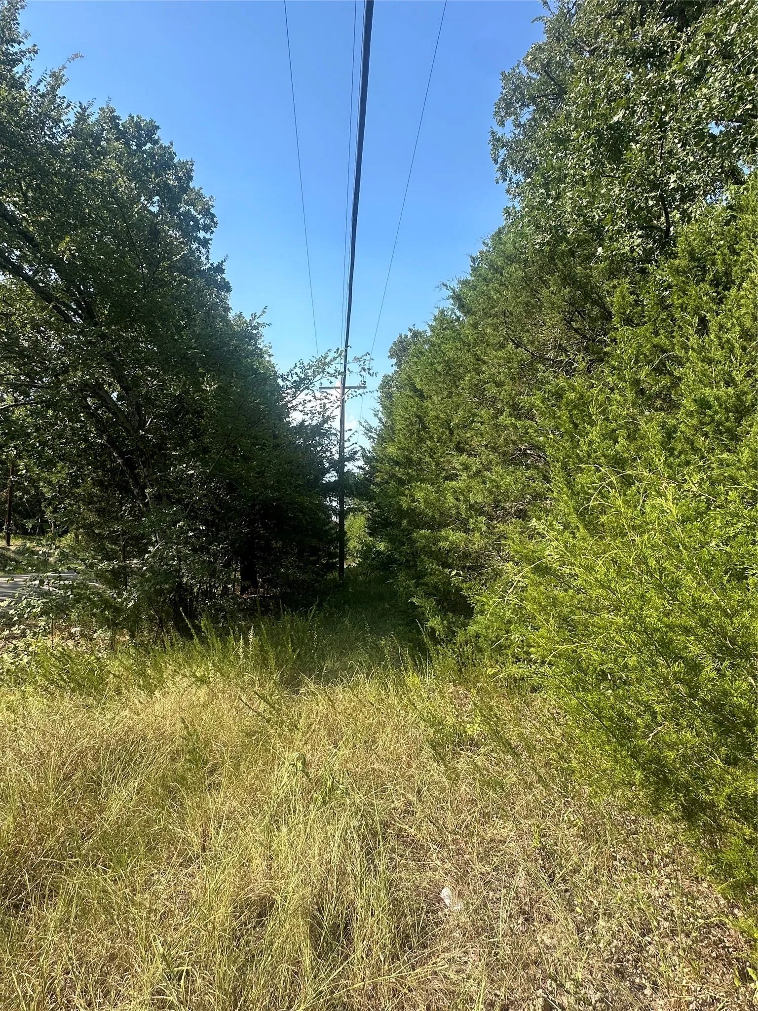 Unimproved Land For Sale in Hunt County , Lots 106-109 Private Rd 3837, Quinlan, Texas 75474, 0, 0, Garage spaces, 0 Sqft, built in 0, Price $179,999, mls#21334100, Real Estate Agent in Quinlan, Homes For Sale in Hunt county, Homes For Sale in Quinlan, Realtor in Quinlan Texas, Real Estate Brokerage Independent Realty Texas, Luminita Cordes Realtor