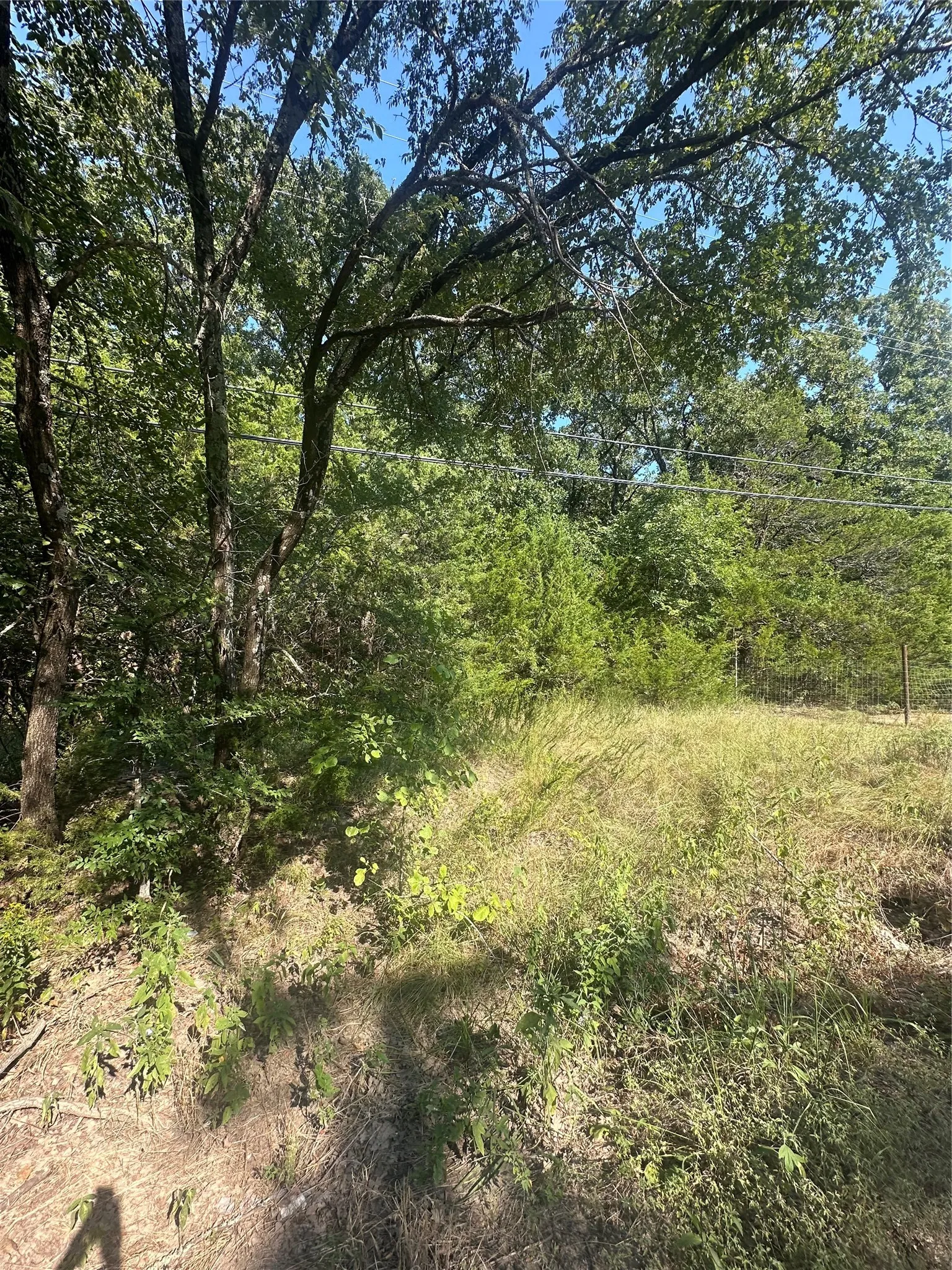 Unimproved Land For Sale in Hunt County , Lots 106-109 Private Rd 3837, Quinlan, Texas 75474, 0, 0, Garage spaces, 0 Sqft, built in 0, Price $179,999, mls#21334100, Real Estate Agent in Quinlan, Homes For Sale in Hunt county, Homes For Sale in Quinlan, Realtor in Quinlan Texas, Real Estate Brokerage Independent Realty Texas, Luminita Cordes Realtor