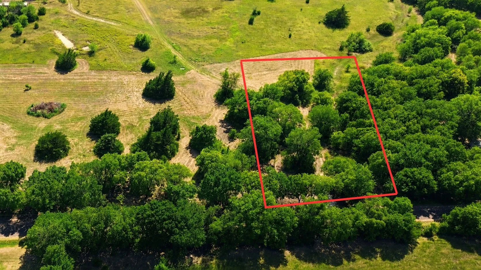 Unimproved Land For Sale in Ellis County , TBD Stafford, Italy, Texas 76651, 0, 0, Garage spaces, 0 Sqft, built in 0, mls#21330098, Real Estate Agent in Italy, Homes For Sale in Ellis county, Homes For Sale in Italy, Realtor in Italy Texas, Real Estate Brokerage Independent Realty Texas, Luminita Cordes Realtor