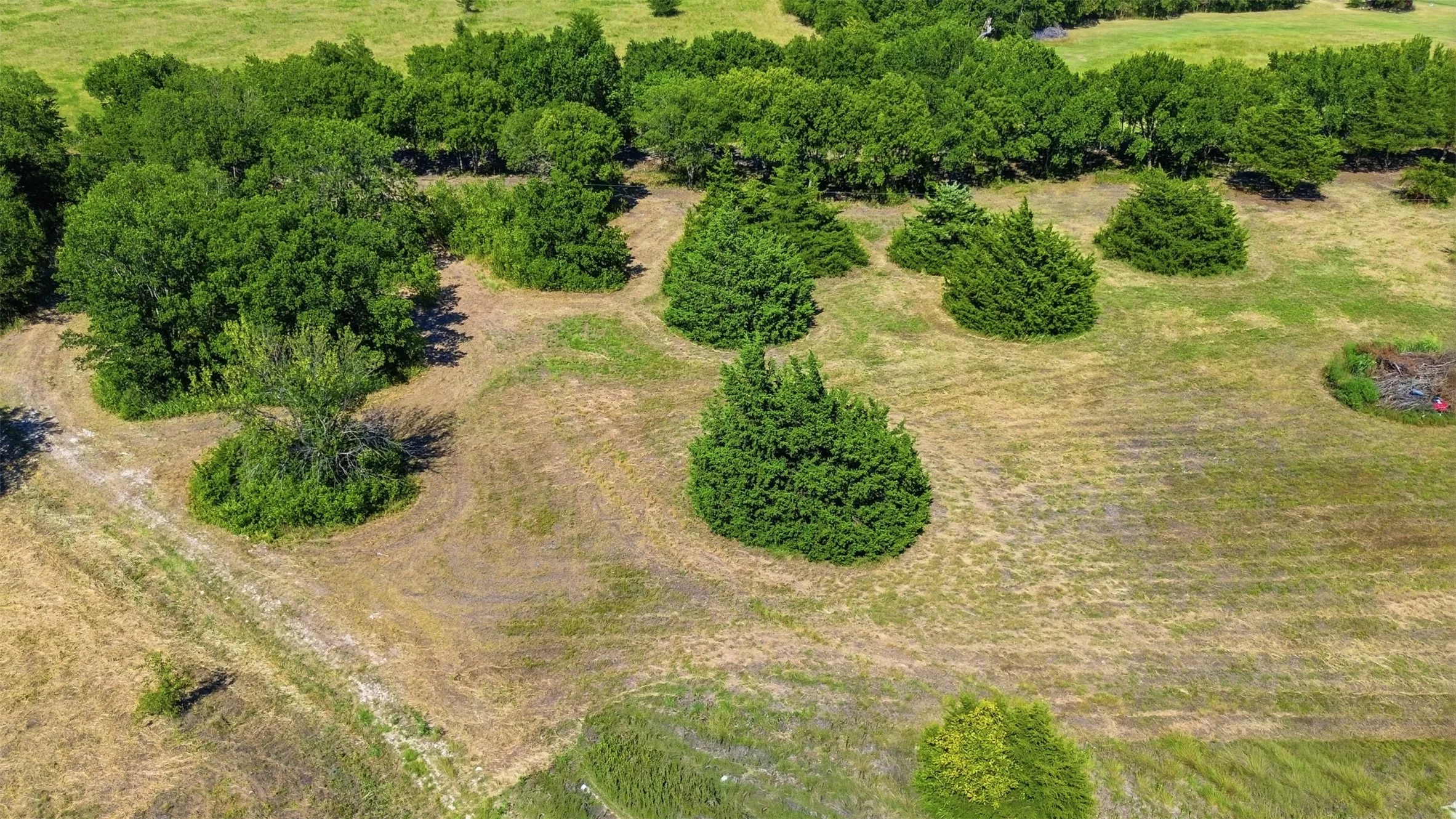 Unimproved Land For Sale in Ellis County , TBD2 Stafford, Italy, Texas 76621, 0, 0, Garage spaces, 0 Sqft, built in 0, mls#21332981, Real Estate Agent in Italy, Homes For Sale in Ellis county, Homes For Sale in Italy, Realtor in Italy Texas, Real Estate Brokerage Independent Realty Texas, Luminita Cordes Realtor