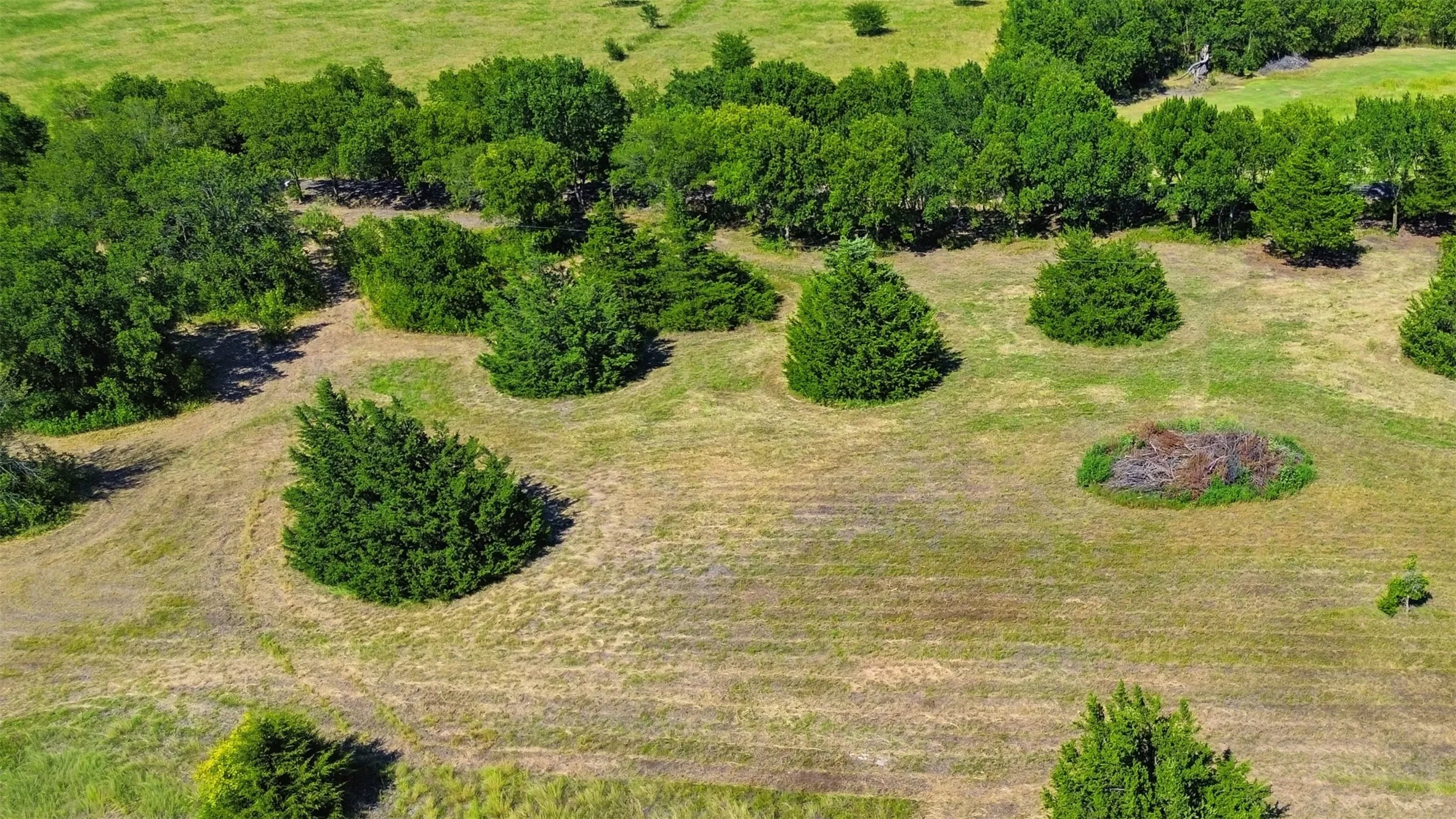 Unimproved Land For Sale in Ellis County , TBD2 Stafford, Italy, Texas 76621, 0, 0, Garage spaces, 0 Sqft, built in 0, mls#21332981, Real Estate Agent in Italy, Homes For Sale in Ellis county, Homes For Sale in Italy, Realtor in Italy Texas, Real Estate Brokerage Independent Realty Texas, Luminita Cordes Realtor
