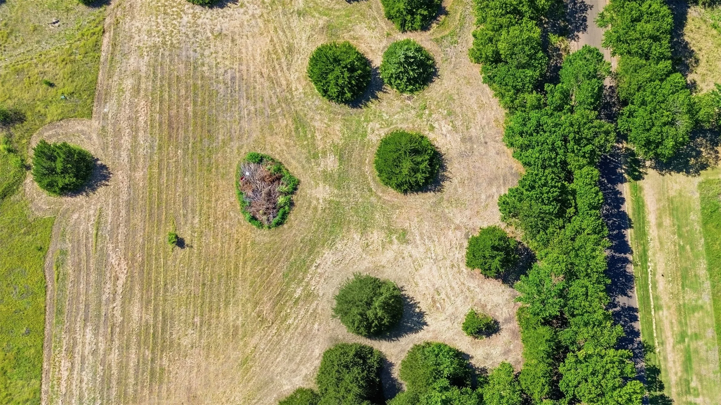 Unimproved Land For Sale in Ellis County , TBD3 Stafford, Italy, Texas 76651, 0, 0, Garage spaces, 0 Sqft, built in 0, mls#21333016, Real Estate Agent in Italy, Homes For Sale in Ellis county, Homes For Sale in Italy, Realtor in Italy Texas, Real Estate Brokerage Independent Realty Texas, Luminita Cordes Realtor