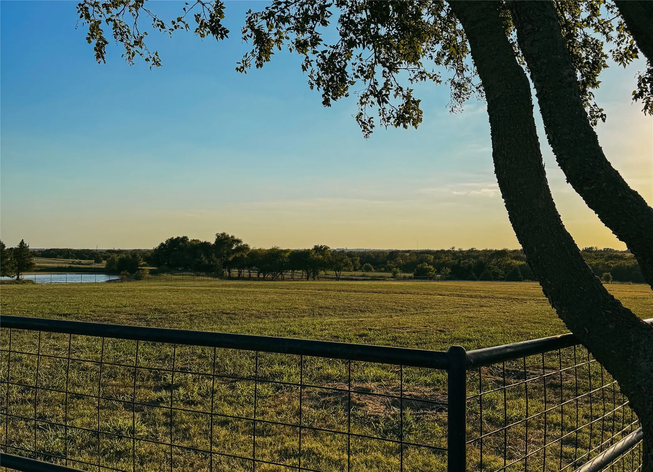 Unimproved Land For Sale in Collin County , 6865 CR 177 Road, Celina, Texas 75009, 0, 0, Garage spaces, 0 Sqft, built in 0, Price $350,000, mls#21334192, Real Estate Agent in Celina, Homes For Sale in Collin county, Homes For Sale in Celina, Realtor in Celina Texas, Real Estate Brokerage Independent Realty Texas, Luminita Cordes Realtor