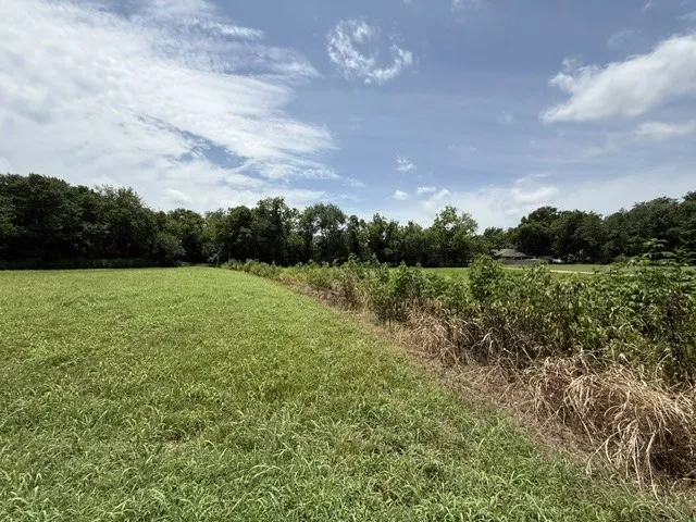 Unimproved Land For Sale in Delta County , TBD SW 5TH & 6TH, Cooper, Texas 75432, 0, 0, Garage spaces, 0 Sqft, built in 0, mls#21333458, Real Estate Agent in Cooper, Homes For Sale in Delta county, Homes For Sale in Cooper, Realtor in Cooper Texas, Real Estate Brokerage Independent Realty Texas, Luminita Cordes Realtor