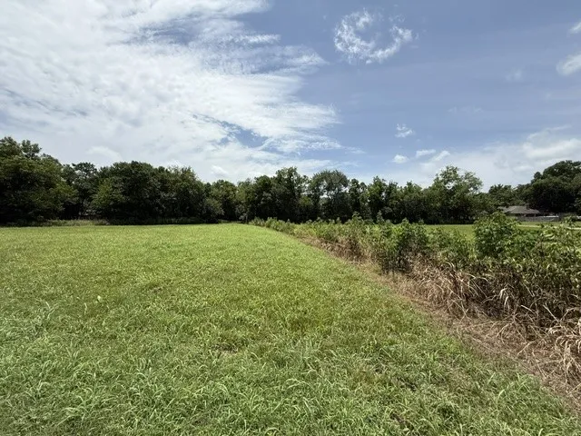 Unimproved Land For Sale in Delta County , TBD SW 5TH & 6TH, Cooper, Texas 75432, 0, 0, Garage spaces, 0 Sqft, built in 0, mls#21333458, Real Estate Agent in Cooper, Homes For Sale in Delta county, Homes For Sale in Cooper, Realtor in Cooper Texas, Real Estate Brokerage Independent Realty Texas, Luminita Cordes Realtor