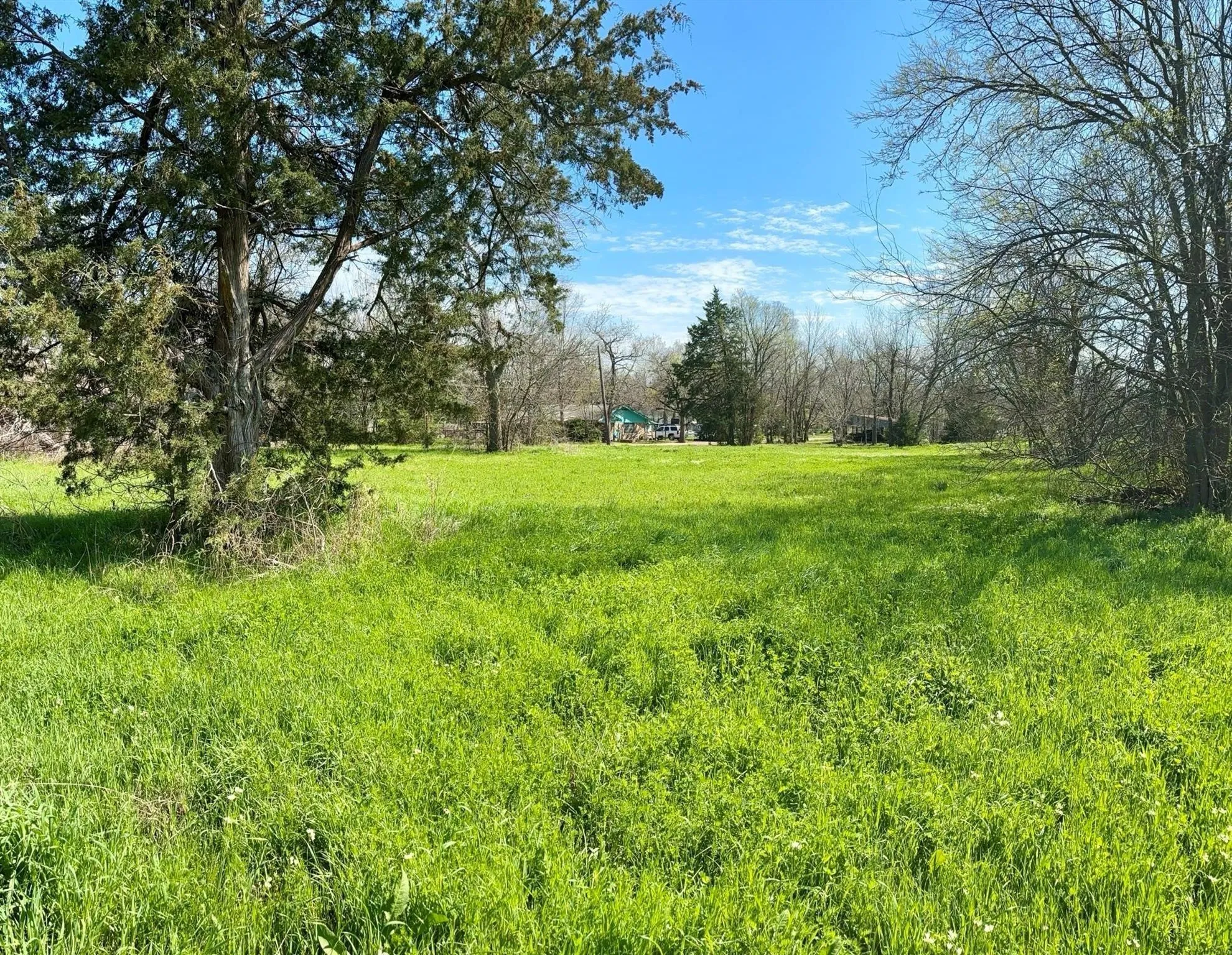 Unimproved Land For Sale in Delta County , TBD SW 5TH & 6TH, Cooper, Texas 75432, 0, 0, Garage spaces, 0 Sqft, built in 0, mls#21333458, Real Estate Agent in Cooper, Homes For Sale in Delta county, Homes For Sale in Cooper, Realtor in Cooper Texas, Real Estate Brokerage Independent Realty Texas, Luminita Cordes Realtor