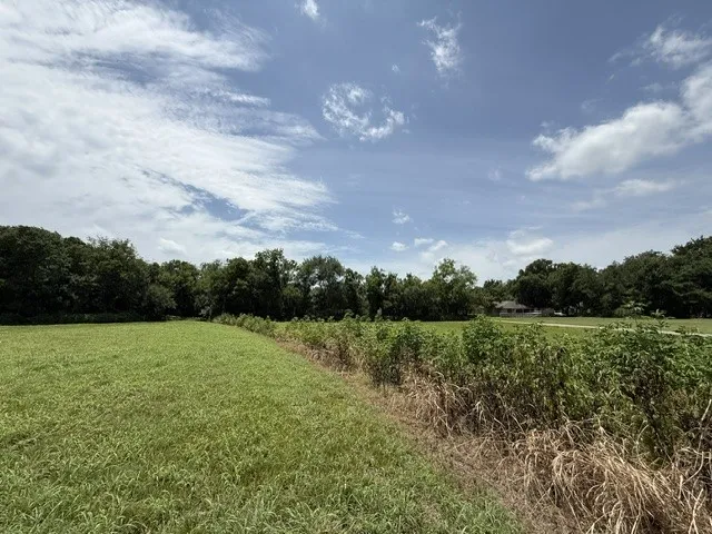 Unimproved Land For Sale in Delta County , TBD SW 5TH & 6TH, Cooper, Texas 75432, 0, 0, Garage spaces, 0 Sqft, built in 0, mls#21333458, Real Estate Agent in Cooper, Homes For Sale in Delta county, Homes For Sale in Cooper, Realtor in Cooper Texas, Real Estate Brokerage Independent Realty Texas, Luminita Cordes Realtor