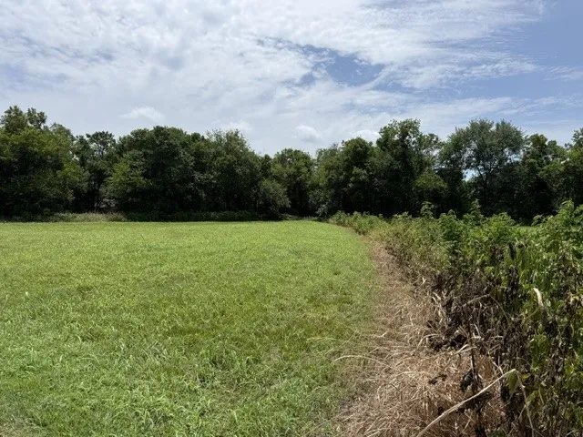 Unimproved Land For Sale in Delta County , TBD SW 5TH & 6TH, Cooper, Texas 75432, 0, 0, Garage spaces, 0 Sqft, built in 0, mls#21333458, Real Estate Agent in Cooper, Homes For Sale in Delta county, Homes For Sale in Cooper, Realtor in Cooper Texas, Real Estate Brokerage Independent Realty Texas, Luminita Cordes Realtor