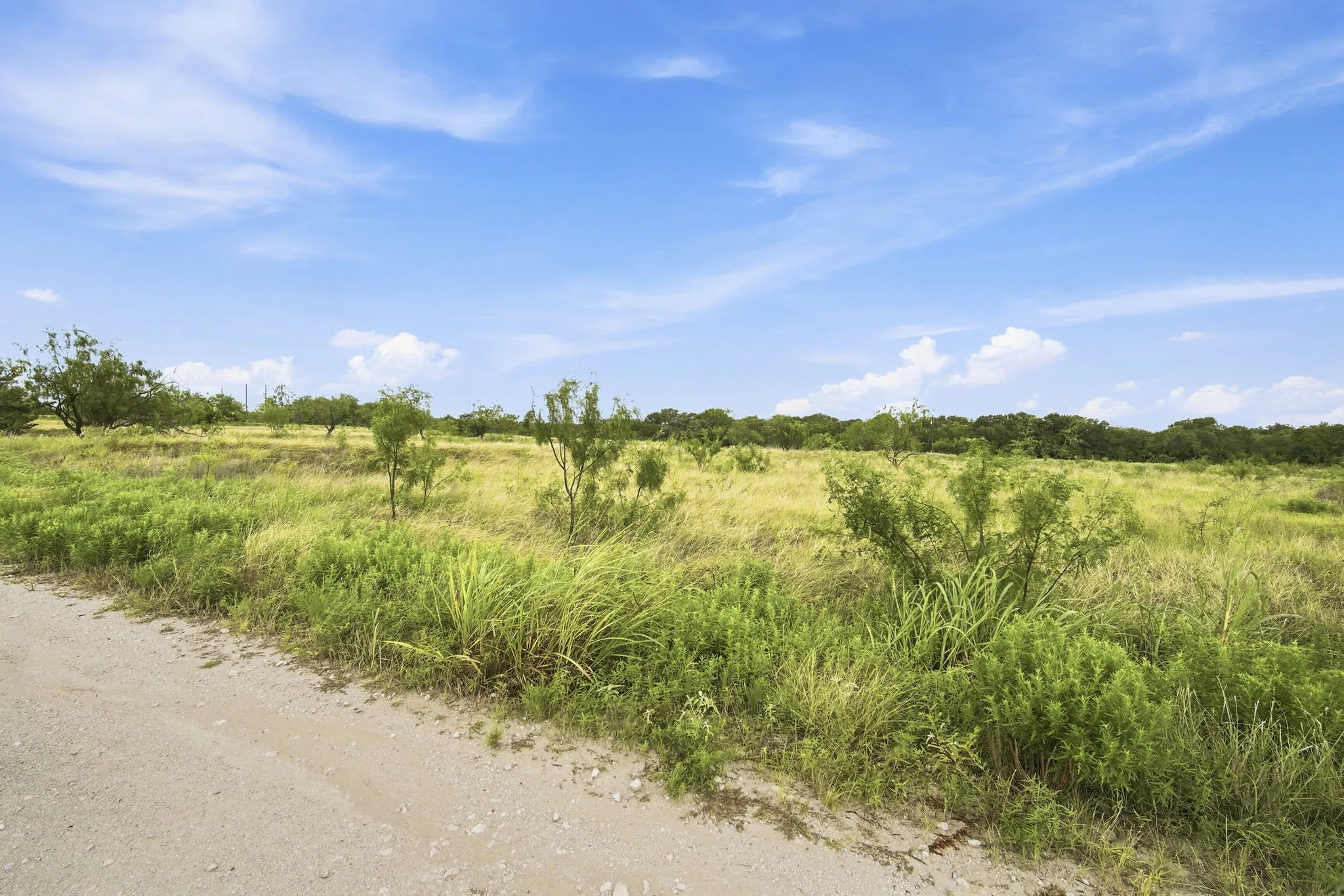 Improved Land For Sale in Hill County , 117 Private Road 354 N N, Hubbard, Texas 76648, 0, 0, Garage spaces, 0 Sqft, built in 0, Price $124,900, mls#21331842, Real Estate Agent in Hubbard, Homes For Sale in Hill county, Homes For Sale in Hubbard, Realtor in Hubbard Texas, Real Estate Brokerage Independent Realty Texas, Luminita Cordes Realtor