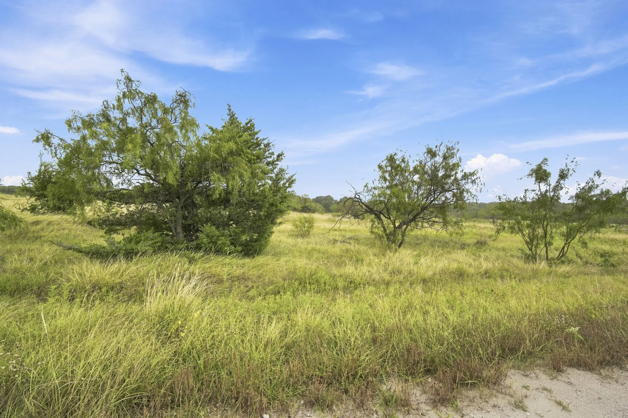 Improved Land For Sale in Hill County , 117 Private Road 354 N N, Hubbard, Texas 76648, 0, 0, Garage spaces, 0 Sqft, built in 0, Price $124,900, mls#21331842, Real Estate Agent in Hubbard, Homes For Sale in Hill county, Homes For Sale in Hubbard, Realtor in Hubbard Texas, Real Estate Brokerage Independent Realty Texas, Luminita Cordes Realtor