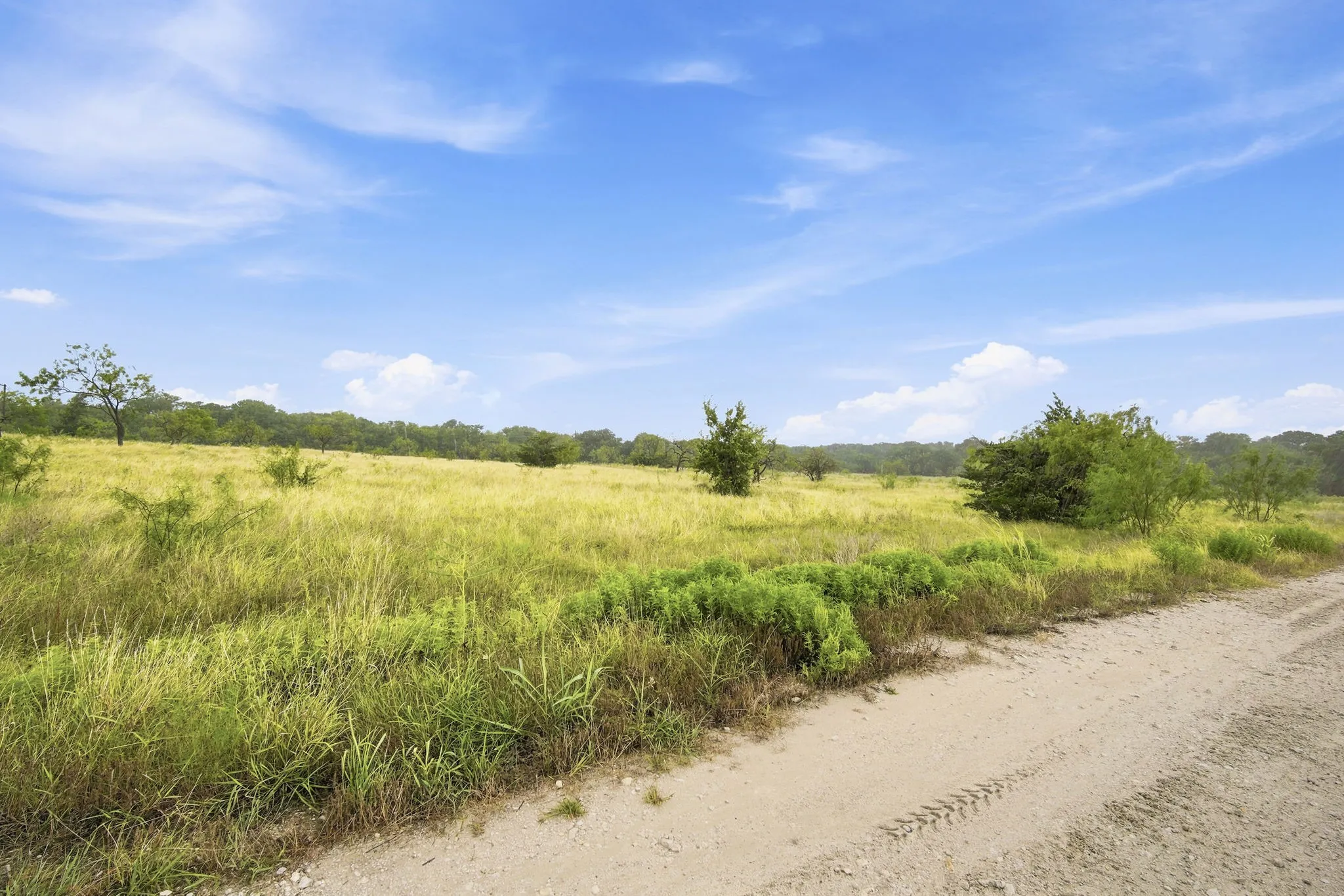 Improved Land For Sale in Hill County , 117 Private Road 354 N N, Hubbard, Texas 76648, 0, 0, Garage spaces, 0 Sqft, built in 0, Price $124,900, mls#21331842, Real Estate Agent in Hubbard, Homes For Sale in Hill county, Homes For Sale in Hubbard, Realtor in Hubbard Texas, Real Estate Brokerage Independent Realty Texas, Luminita Cordes Realtor