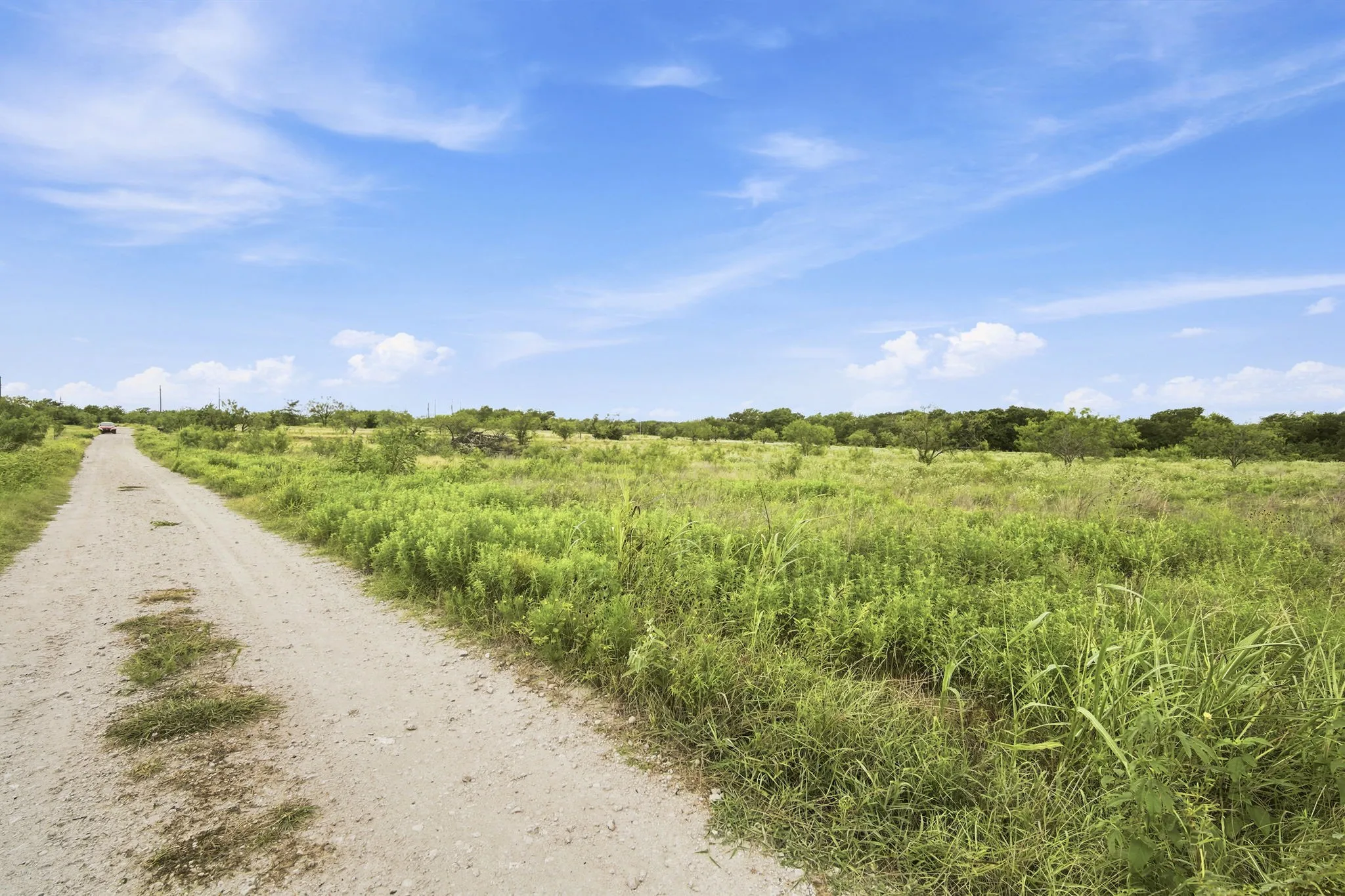 Improved Land For Sale in Hill County , 117 Private Road 354 N N, Hubbard, Texas 76648, 0, 0, Garage spaces, 0 Sqft, built in 0, Price $124,900, mls#21331842, Real Estate Agent in Hubbard, Homes For Sale in Hill county, Homes For Sale in Hubbard, Realtor in Hubbard Texas, Real Estate Brokerage Independent Realty Texas, Luminita Cordes Realtor