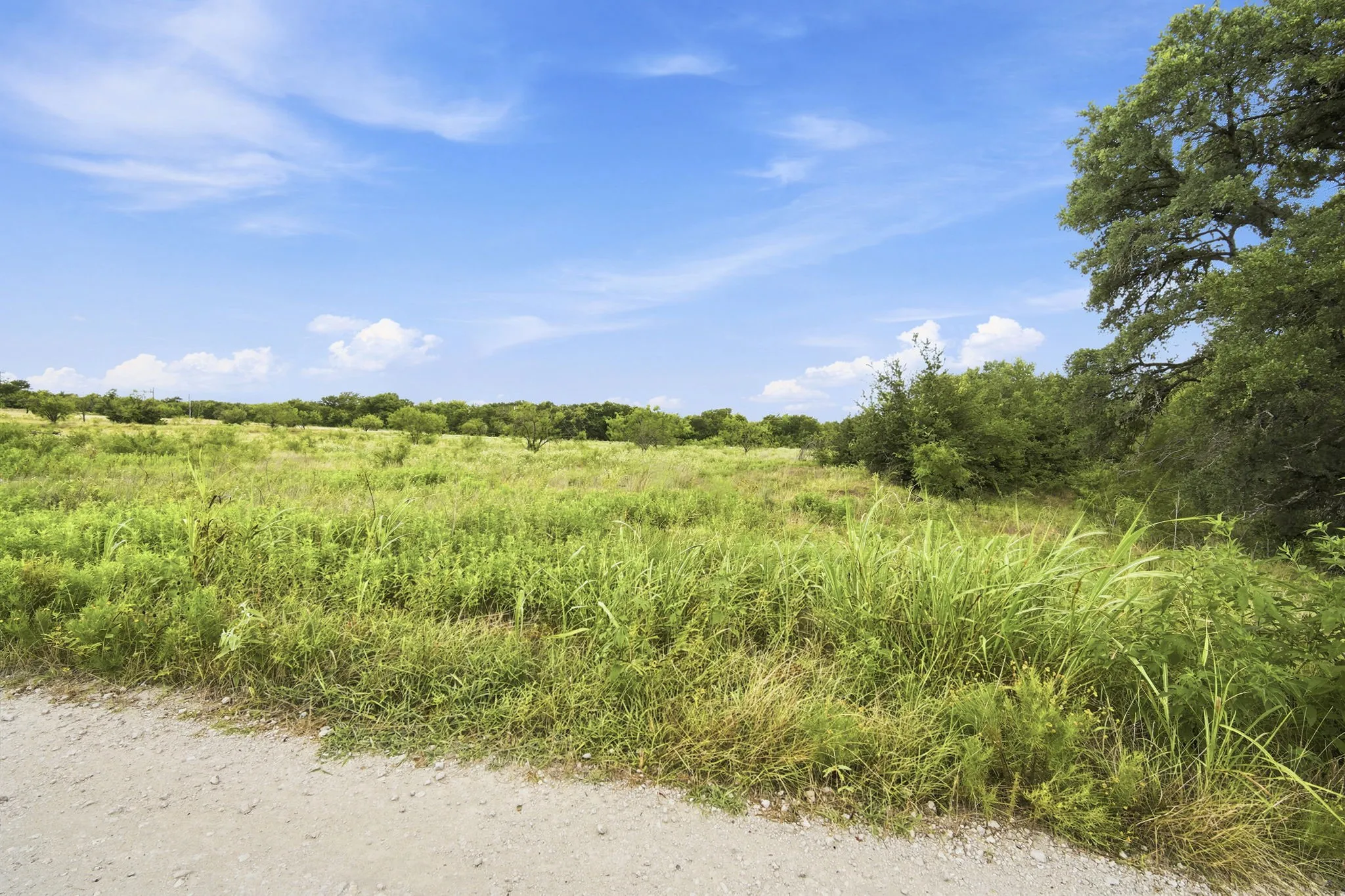 Improved Land For Sale in Hill County , 117 Private Road 354 N N, Hubbard, Texas 76648, 0, 0, Garage spaces, 0 Sqft, built in 0, Price $124,900, mls#21331842, Real Estate Agent in Hubbard, Homes For Sale in Hill county, Homes For Sale in Hubbard, Realtor in Hubbard Texas, Real Estate Brokerage Independent Realty Texas, Luminita Cordes Realtor