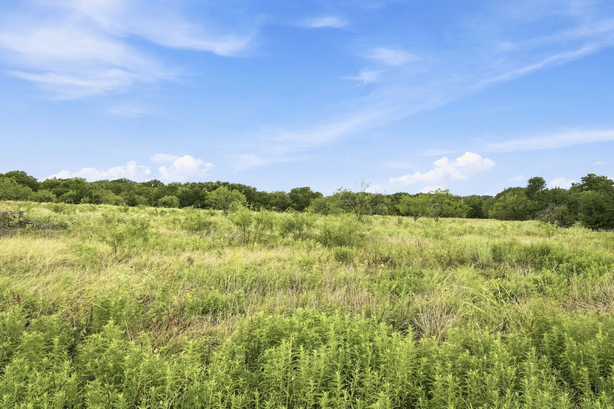 Improved Land For Sale in Hill County , 117 Private Road 354 N N, Hubbard, Texas 76648, 0, 0, Garage spaces, 0 Sqft, built in 0, Price $124,900, mls#21331842, Real Estate Agent in Hubbard, Homes For Sale in Hill county, Homes For Sale in Hubbard, Realtor in Hubbard Texas, Real Estate Brokerage Independent Realty Texas, Luminita Cordes Realtor