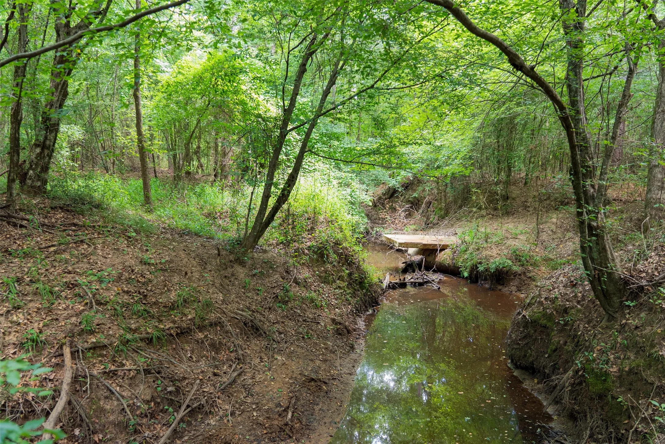 Unimproved Land For Sale in Panola County , 0 CR 3154, De Berry, Texas 75639, 0, 0, Garage spaces, 0 Sqft, built in 0, mls#21334256, Real Estate Agent in De Berry, Homes For Sale in Panola county, Homes For Sale in De Berry, Realtor in De Berry Texas, Real Estate Brokerage Independent Realty Texas, Luminita Cordes Realtor