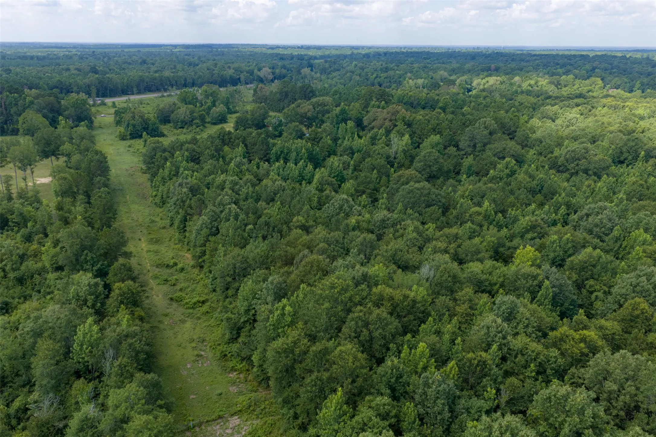 Unimproved Land For Sale in Panola County , 0 CR 3154, De Berry, Texas 75639, 0, 0, Garage spaces, 0 Sqft, built in 0, mls#21334256, Real Estate Agent in De Berry, Homes For Sale in Panola county, Homes For Sale in De Berry, Realtor in De Berry Texas, Real Estate Brokerage Independent Realty Texas, Luminita Cordes Realtor