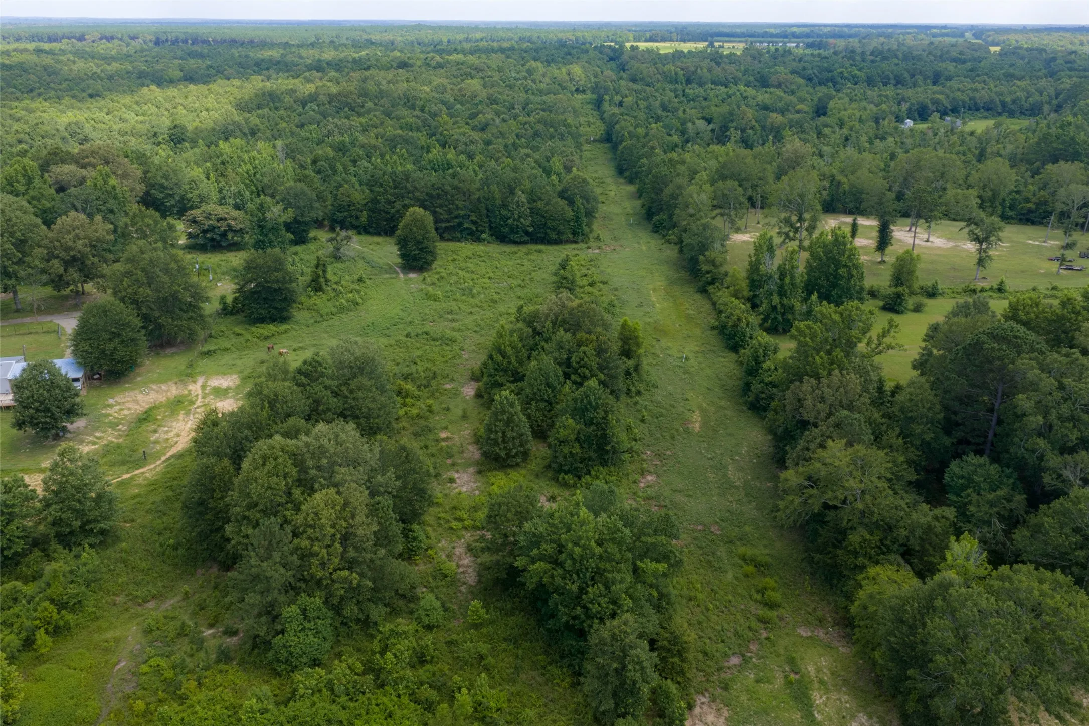 Unimproved Land For Sale in Panola County , 0 CR 3154, De Berry, Texas 75639, 0, 0, Garage spaces, 0 Sqft, built in 0, mls#21334256, Real Estate Agent in De Berry, Homes For Sale in Panola county, Homes For Sale in De Berry, Realtor in De Berry Texas, Real Estate Brokerage Independent Realty Texas, Luminita Cordes Realtor