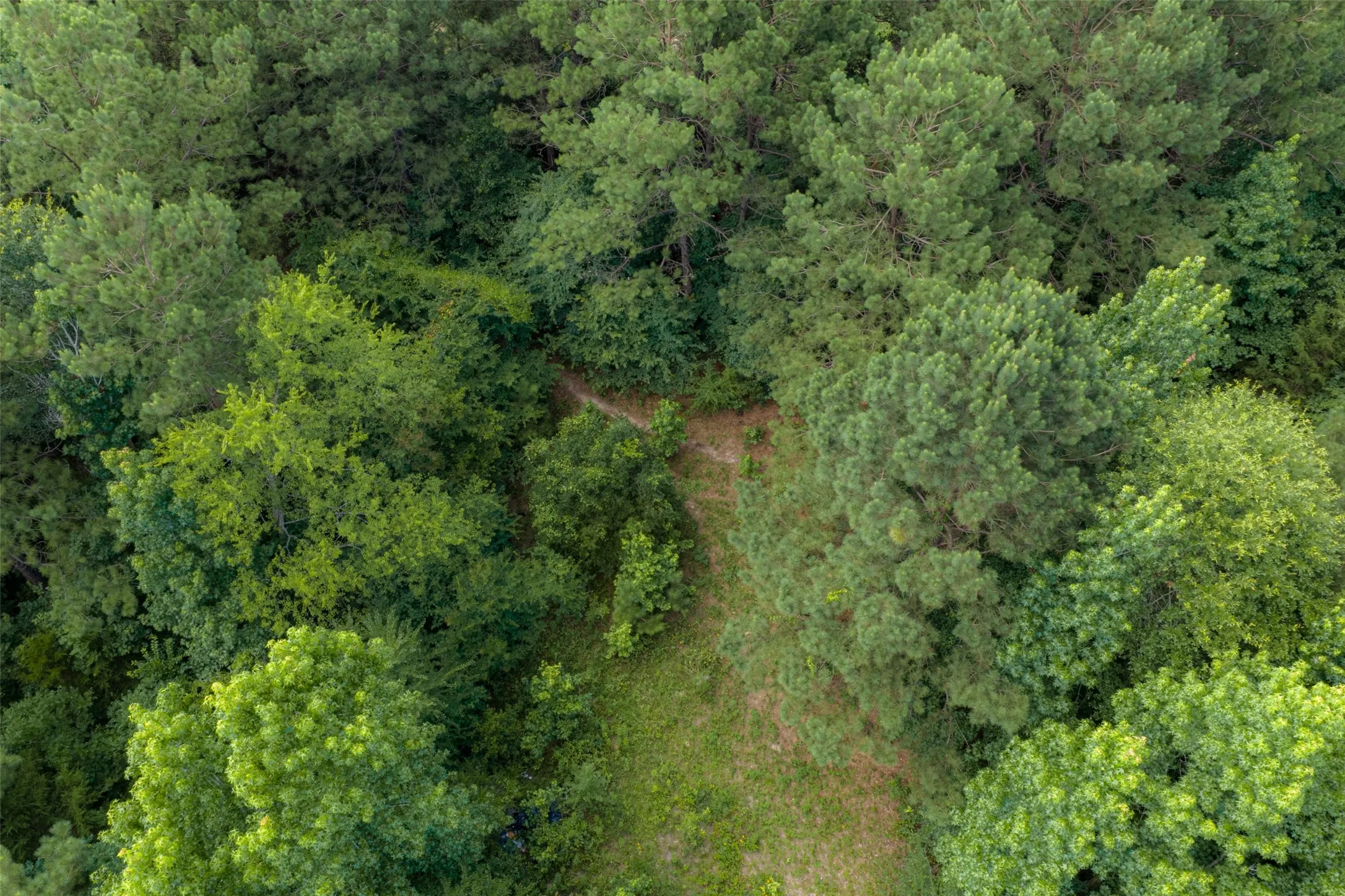 Unimproved Land For Sale in Panola County , 0 CR 3154, De Berry, Texas 75639, 0, 0, Garage spaces, 0 Sqft, built in 0, mls#21334256, Real Estate Agent in De Berry, Homes For Sale in Panola county, Homes For Sale in De Berry, Realtor in De Berry Texas, Real Estate Brokerage Independent Realty Texas, Luminita Cordes Realtor