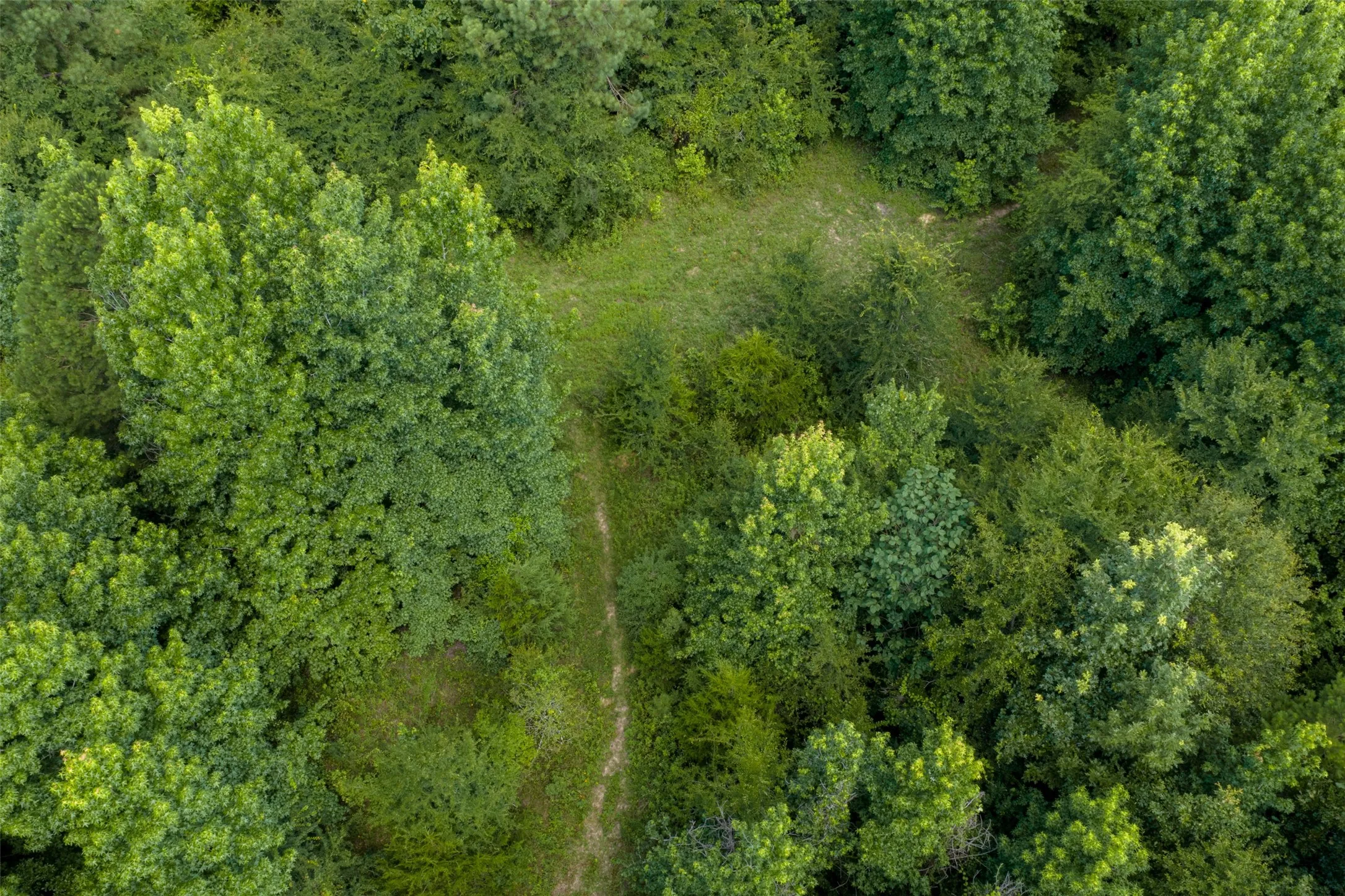 Unimproved Land For Sale in Panola County , 0 CR 3154, De Berry, Texas 75639, 0, 0, Garage spaces, 0 Sqft, built in 0, mls#21334256, Real Estate Agent in De Berry, Homes For Sale in Panola county, Homes For Sale in De Berry, Realtor in De Berry Texas, Real Estate Brokerage Independent Realty Texas, Luminita Cordes Realtor