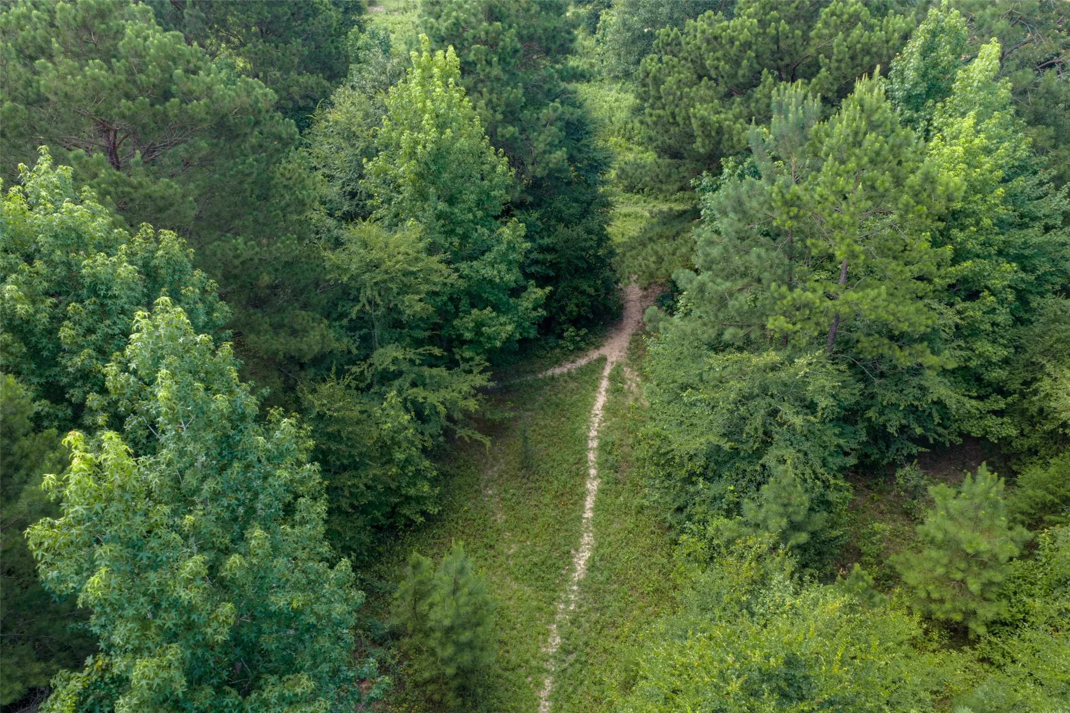 Unimproved Land For Sale in Panola County , 0 CR 3154, De Berry, Texas 75639, 0, 0, Garage spaces, 0 Sqft, built in 0, mls#21334256, Real Estate Agent in De Berry, Homes For Sale in Panola county, Homes For Sale in De Berry, Realtor in De Berry Texas, Real Estate Brokerage Independent Realty Texas, Luminita Cordes Realtor