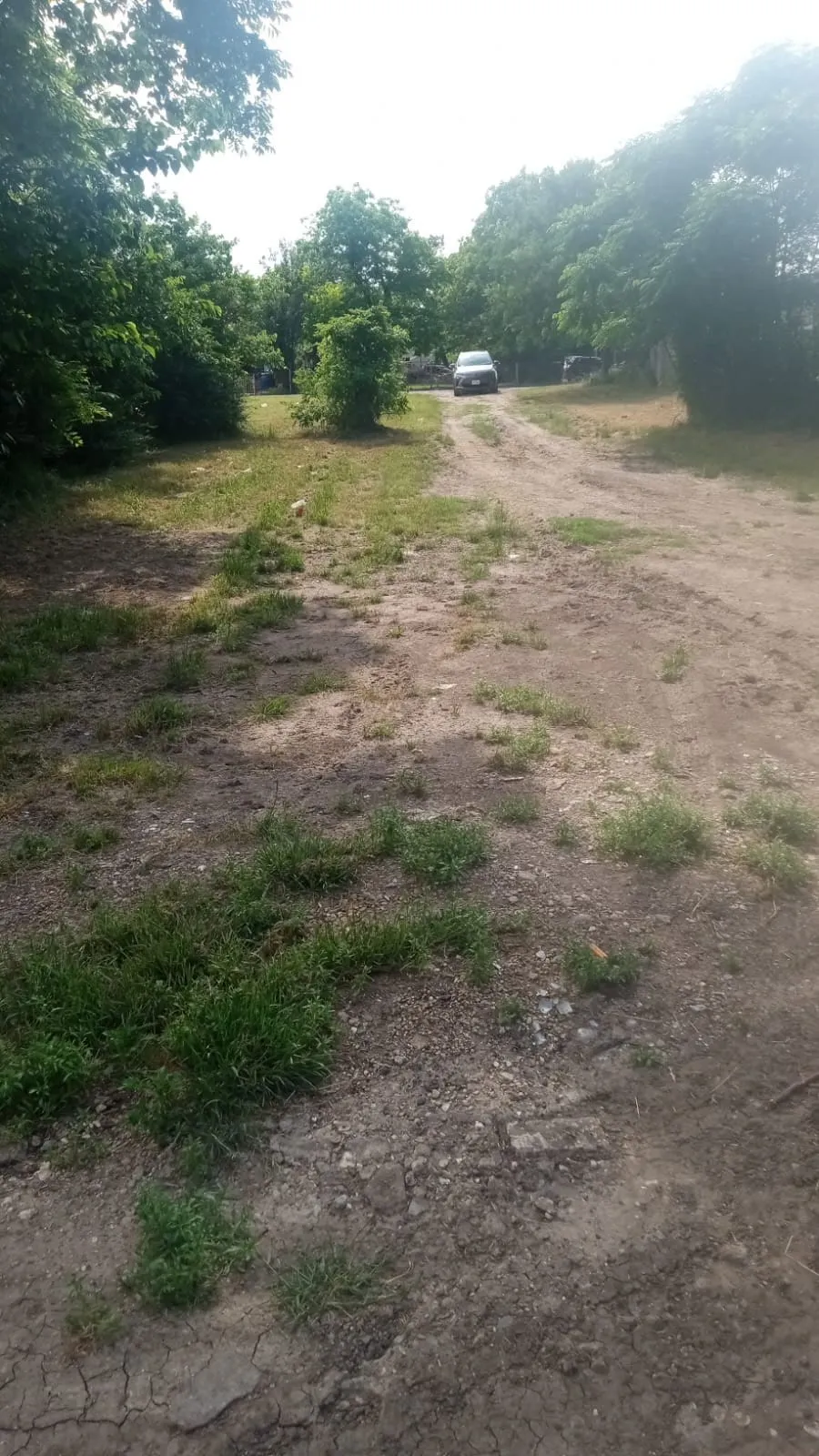 Unimproved Land For Sale in Dallas County , 1818 S Ewing Avenue, Dallas, Texas 75216, 0, 0, Garage spaces, 0 Sqft, built in 0, mls#21334292, Real Estate Agent in Dallas, Homes For Sale in Dallas county, Homes For Sale in Dallas, Realtor in Dallas Texas, Real Estate Brokerage Independent Realty Texas, Luminita Cordes Realtor