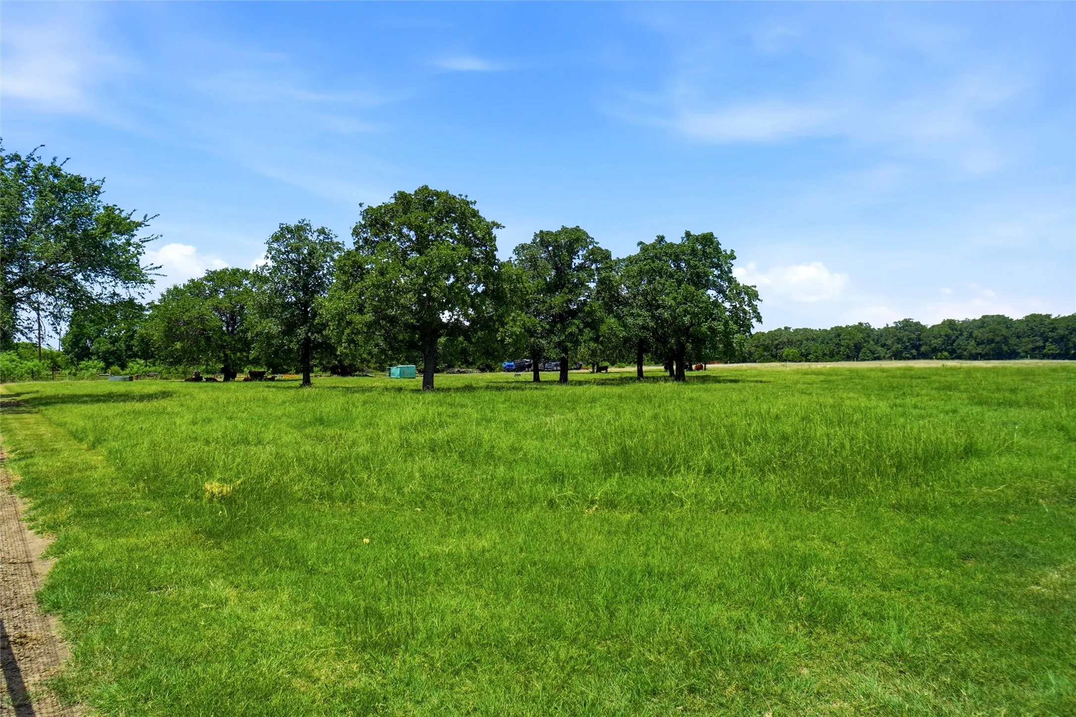 Single Family Residence For Sale in Wise County , 447 W Bypass 287, Alvord, Texas 76225, 3 Bedroom, 3 Bathroom, 2 Garage spaces, 3,022 Sqft, built in 1995, mls#21334338, Real Estate Agent in Alvord, Homes For Sale in Wise county, Homes For Sale in Alvord, Realtor in Alvord Texas, Real Estate Brokerage Independent Realty Texas, Luminita Cordes Realtor