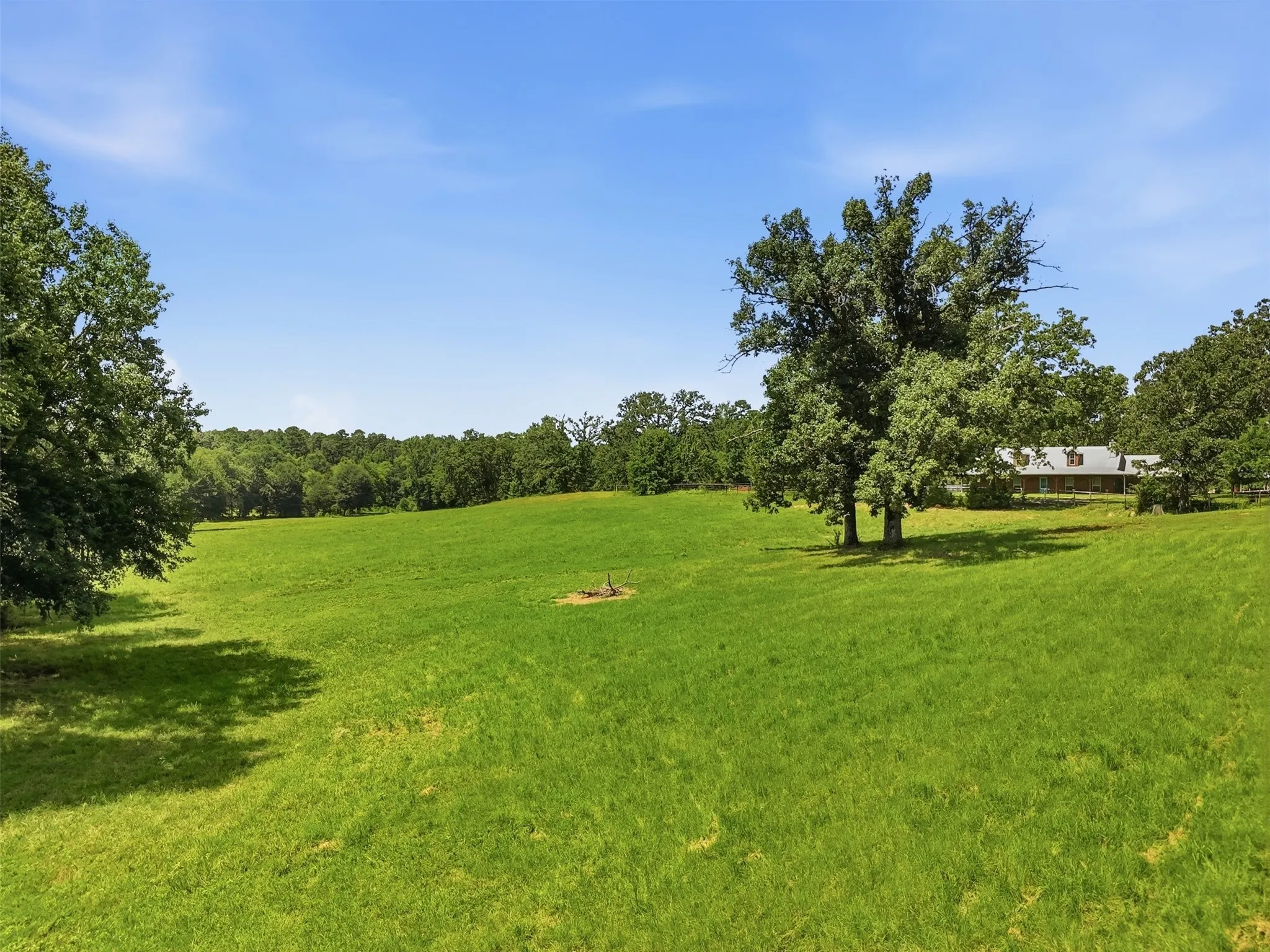Pasture